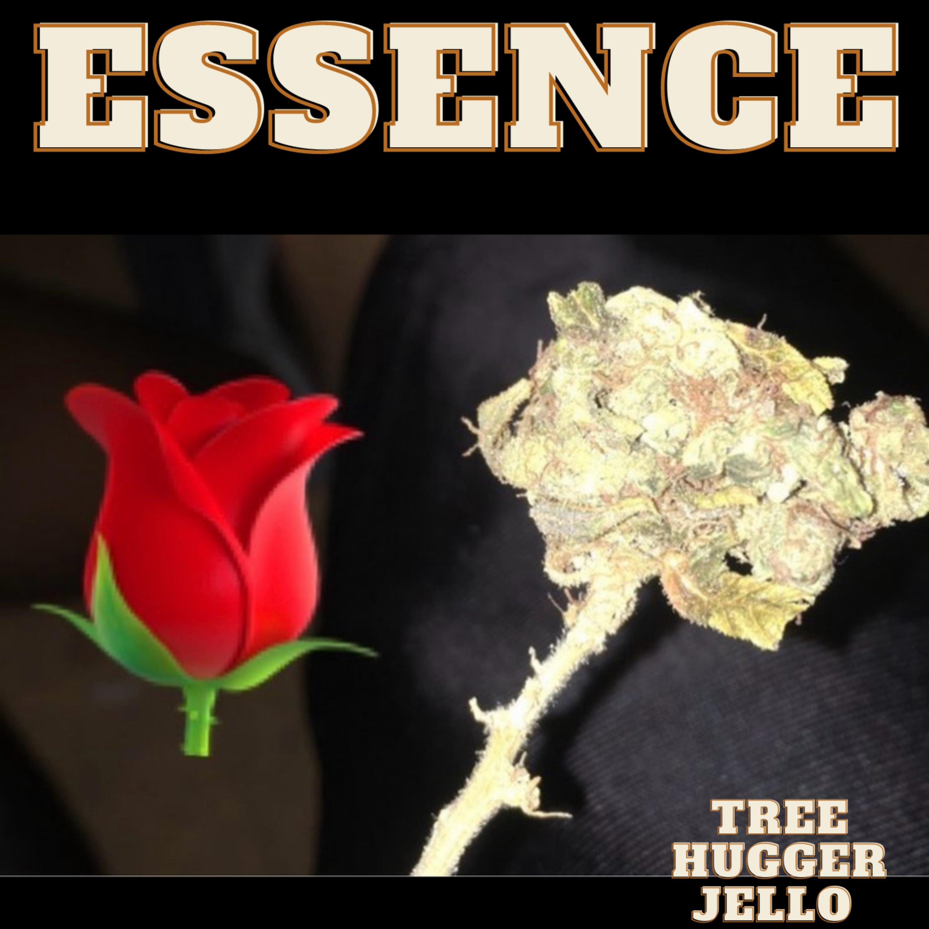 Essence artwork