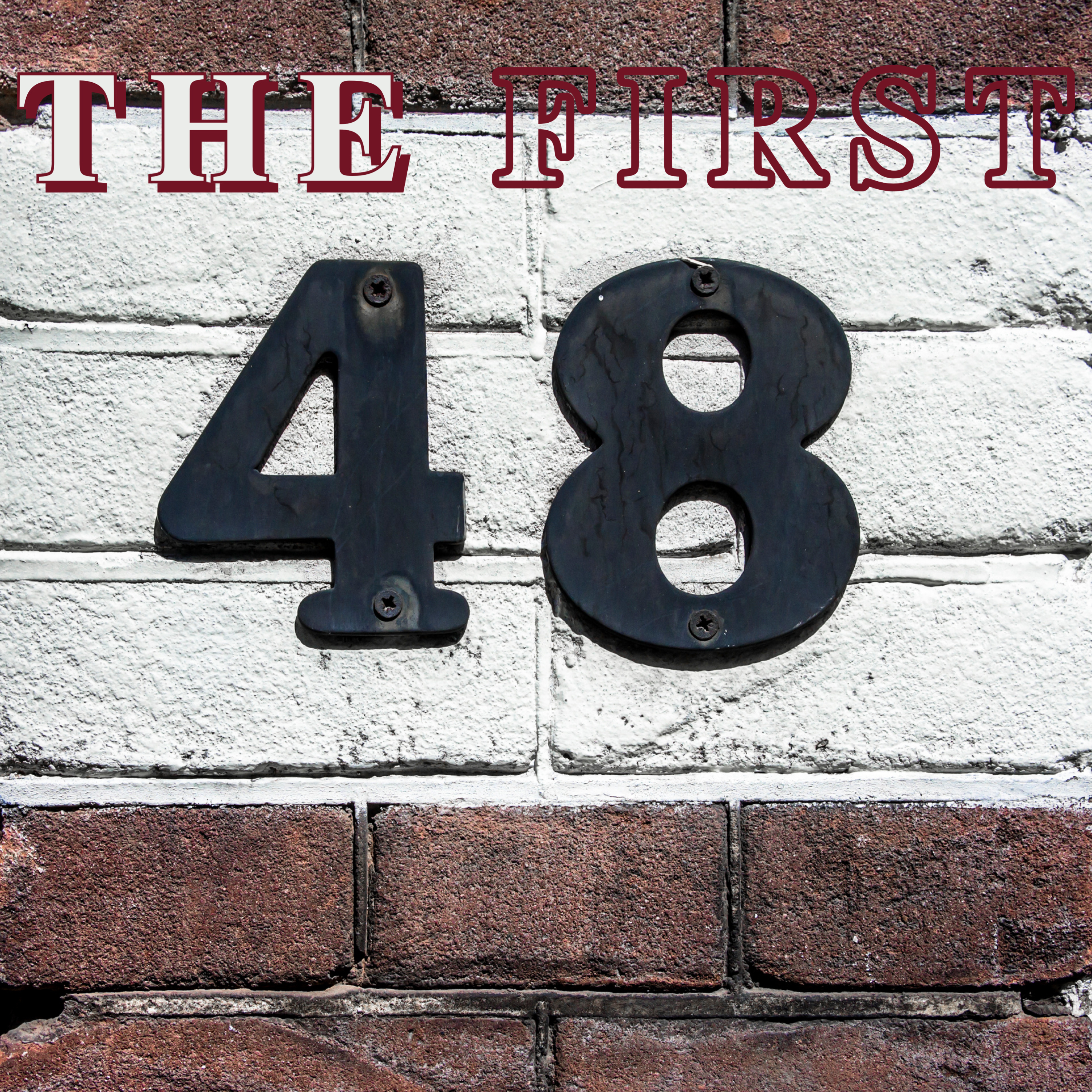 The First 48 artwork
