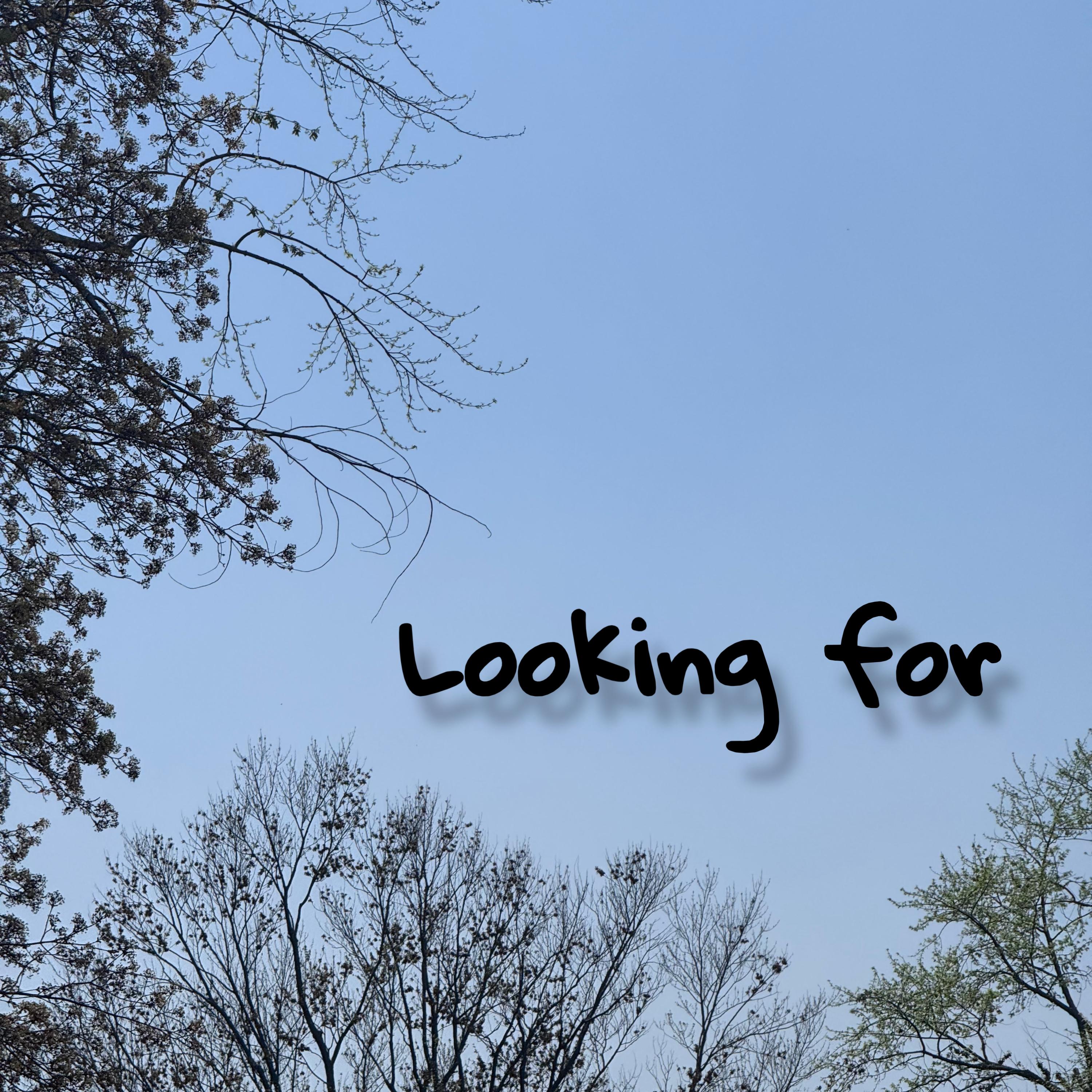 Looking For artwork