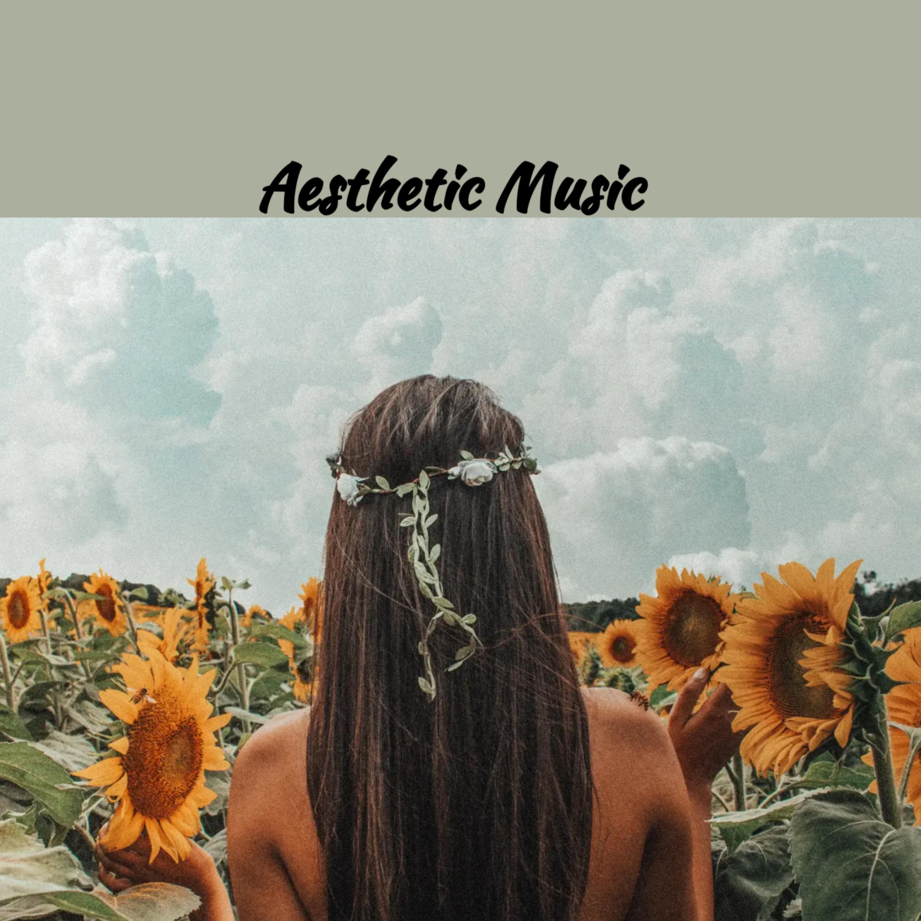 Aesthetic Music artwork