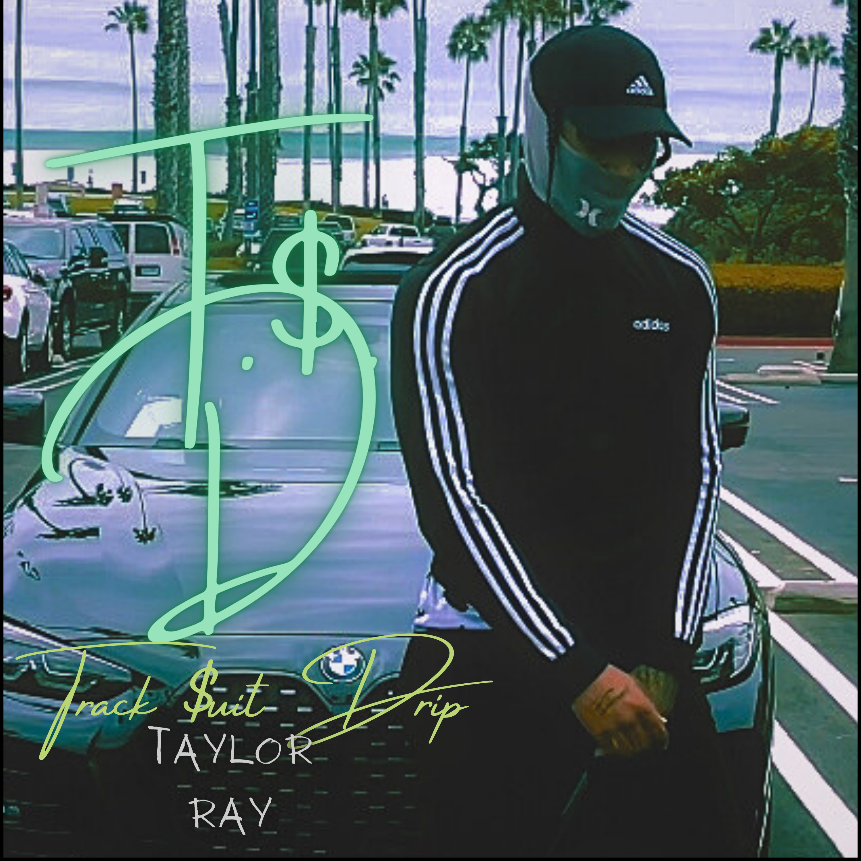 T.$.D (Track $uit Drip) artwork