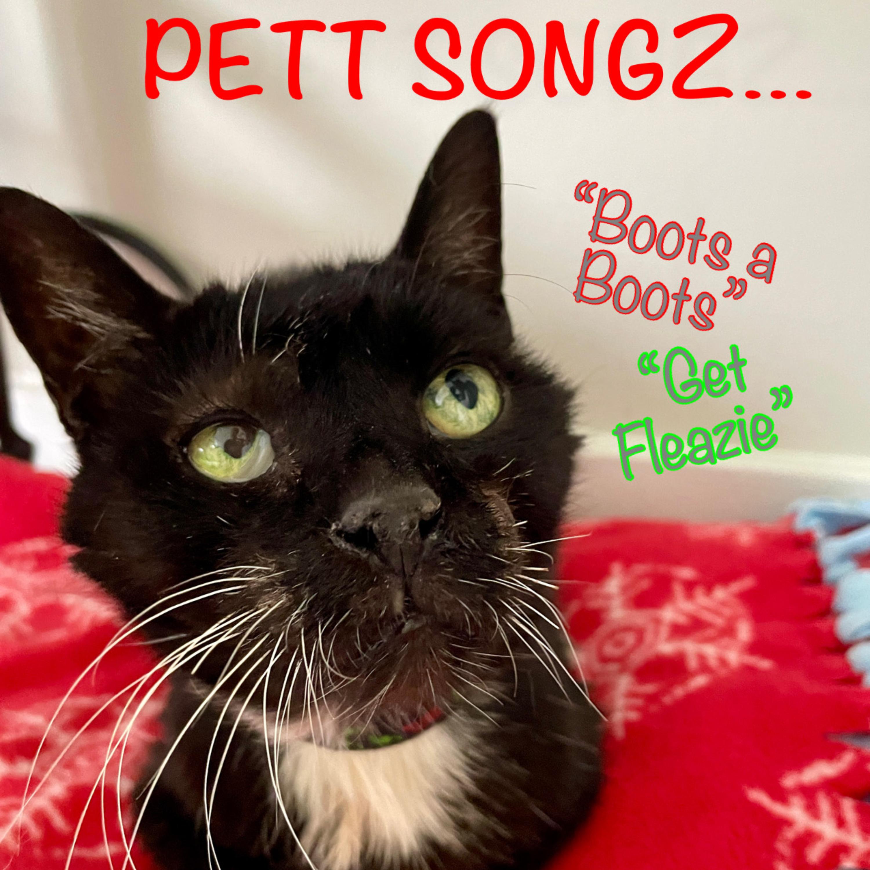 Pett Songz artwork