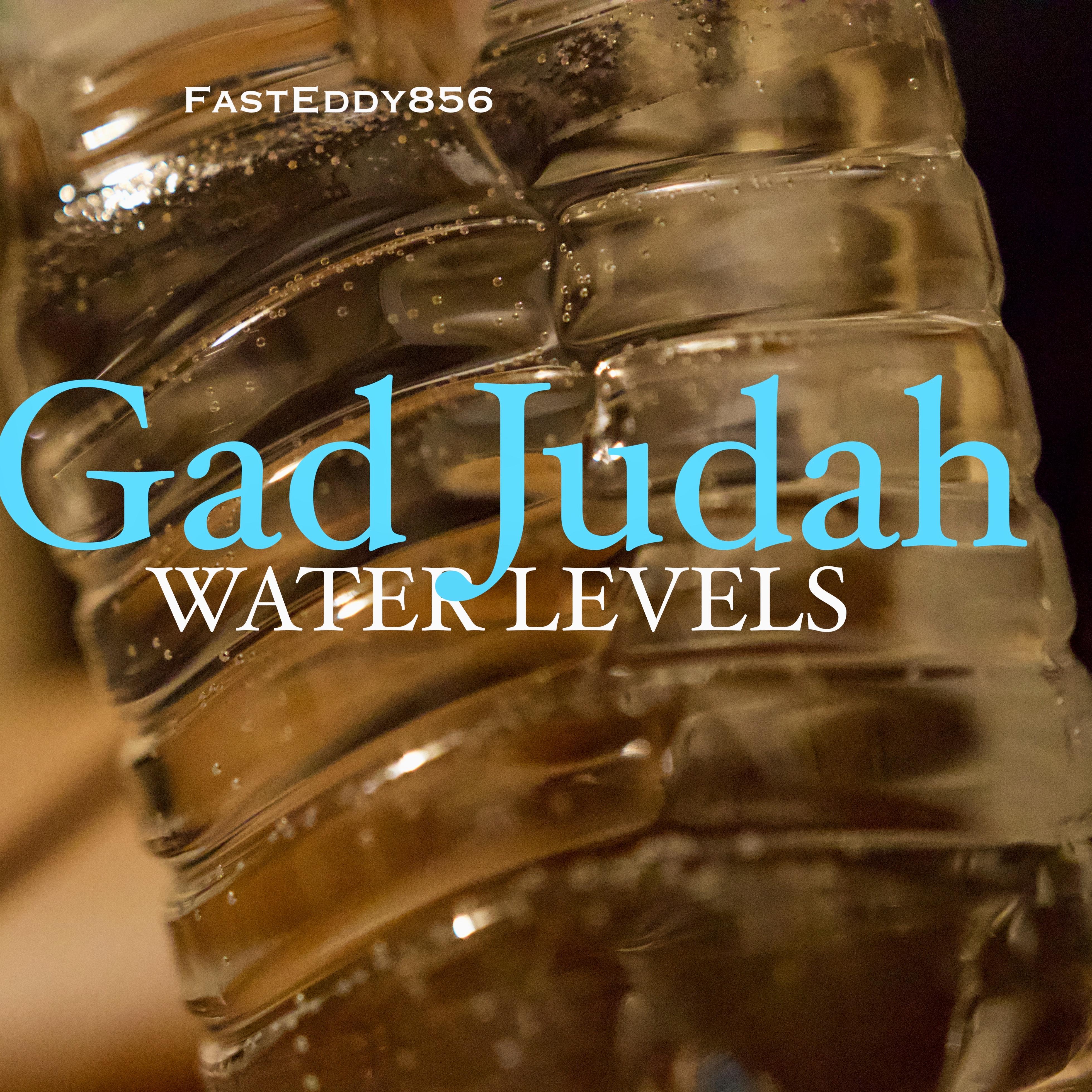 Water Levels artwork