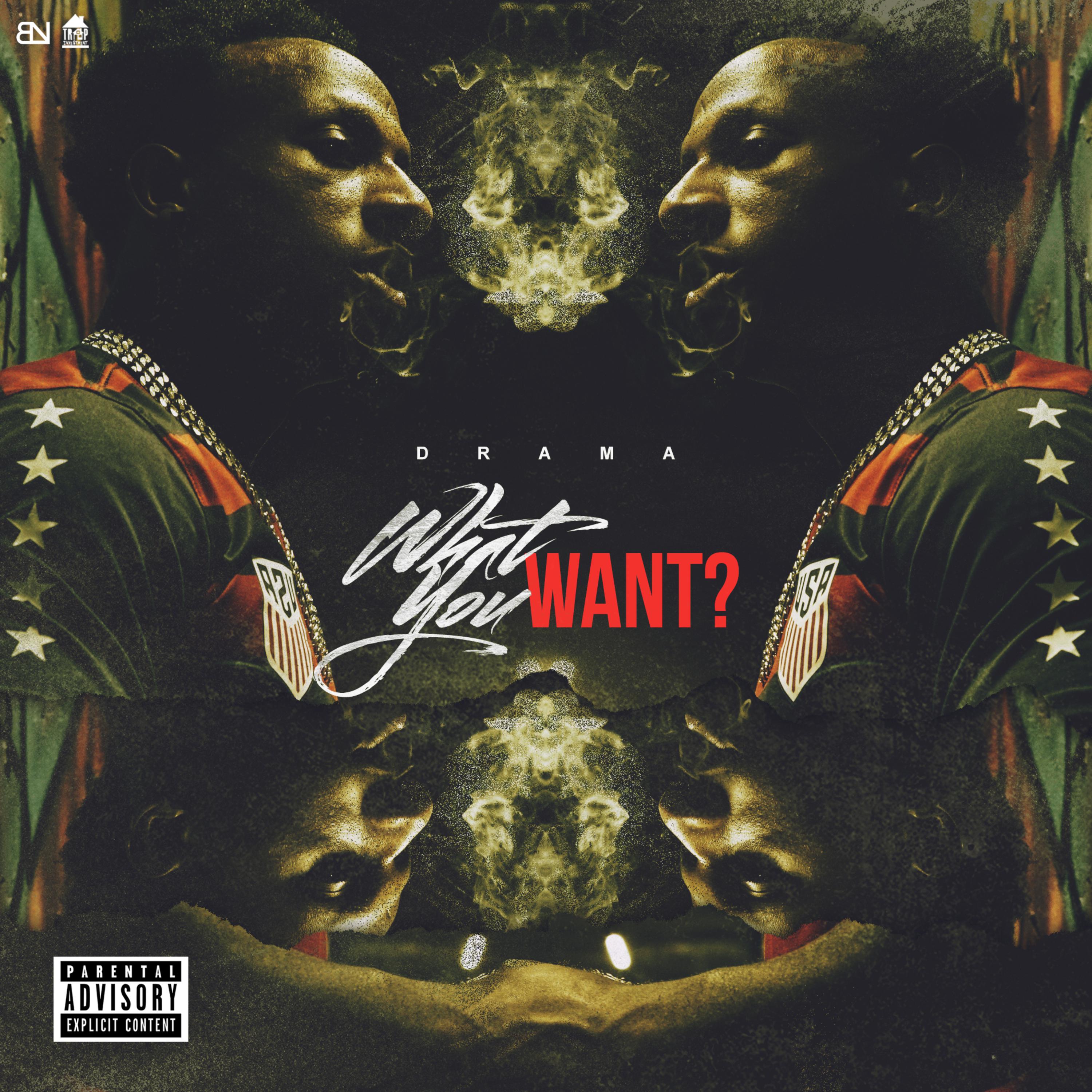 What You Want artwork