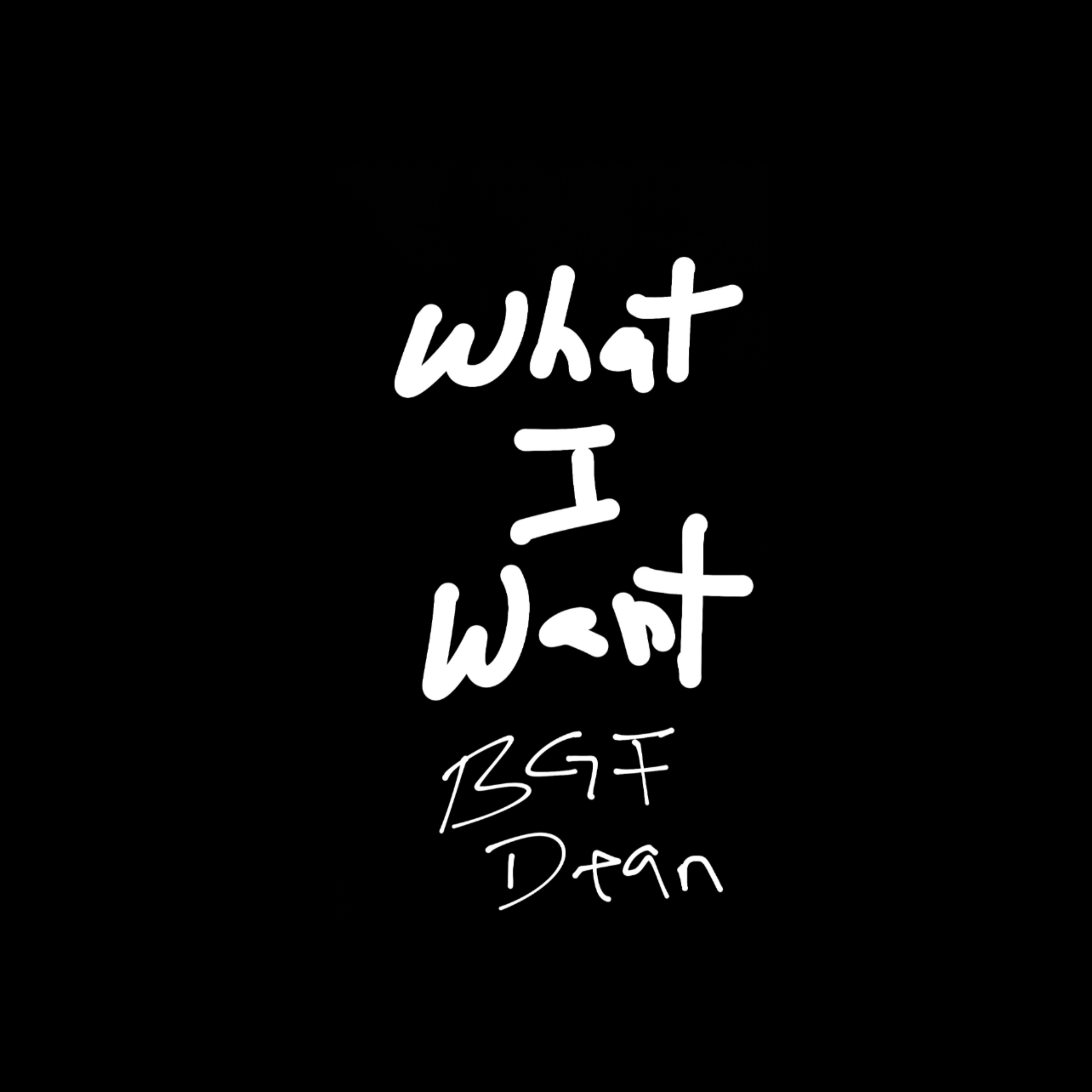 What I Want artwork