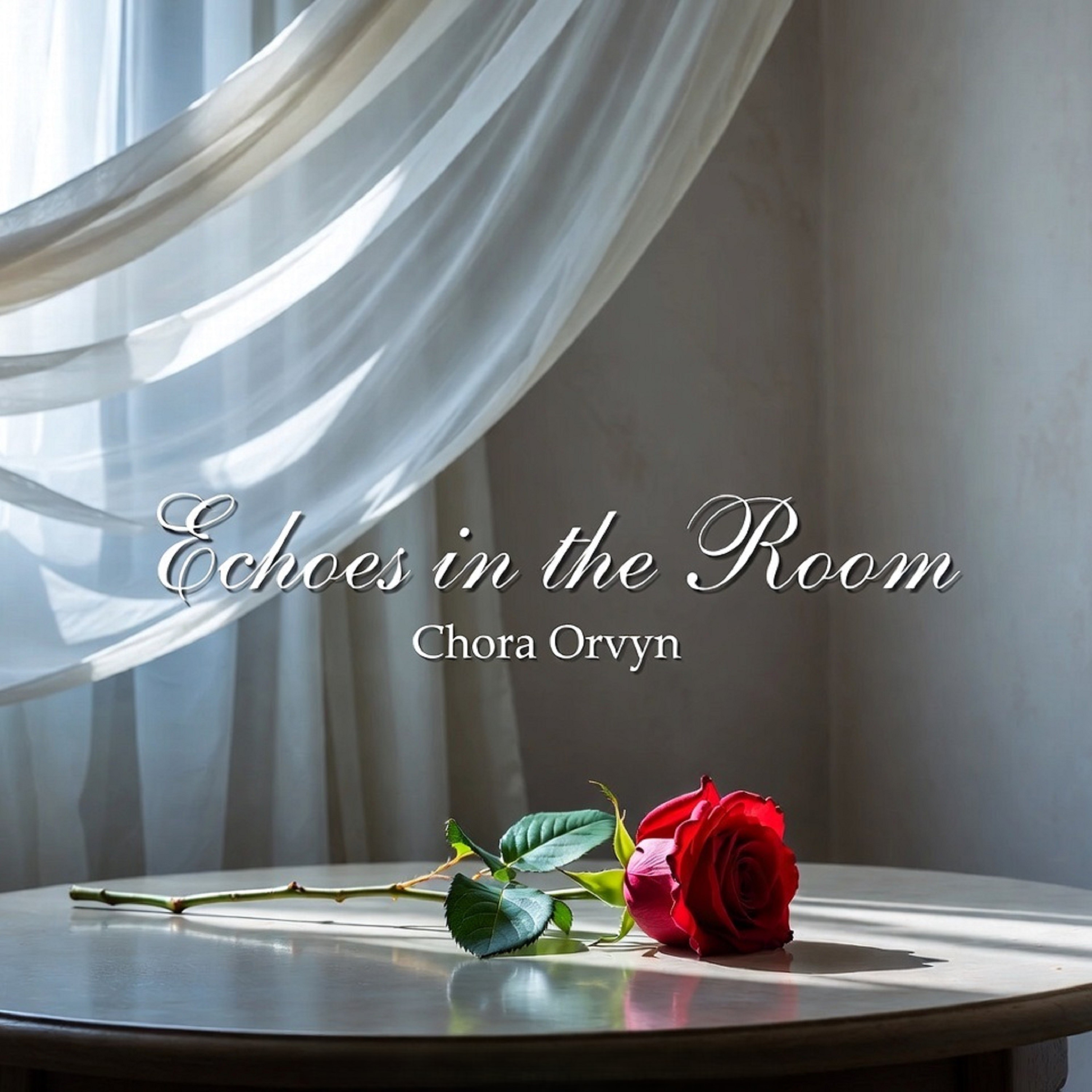 Echoes in the Room artwork