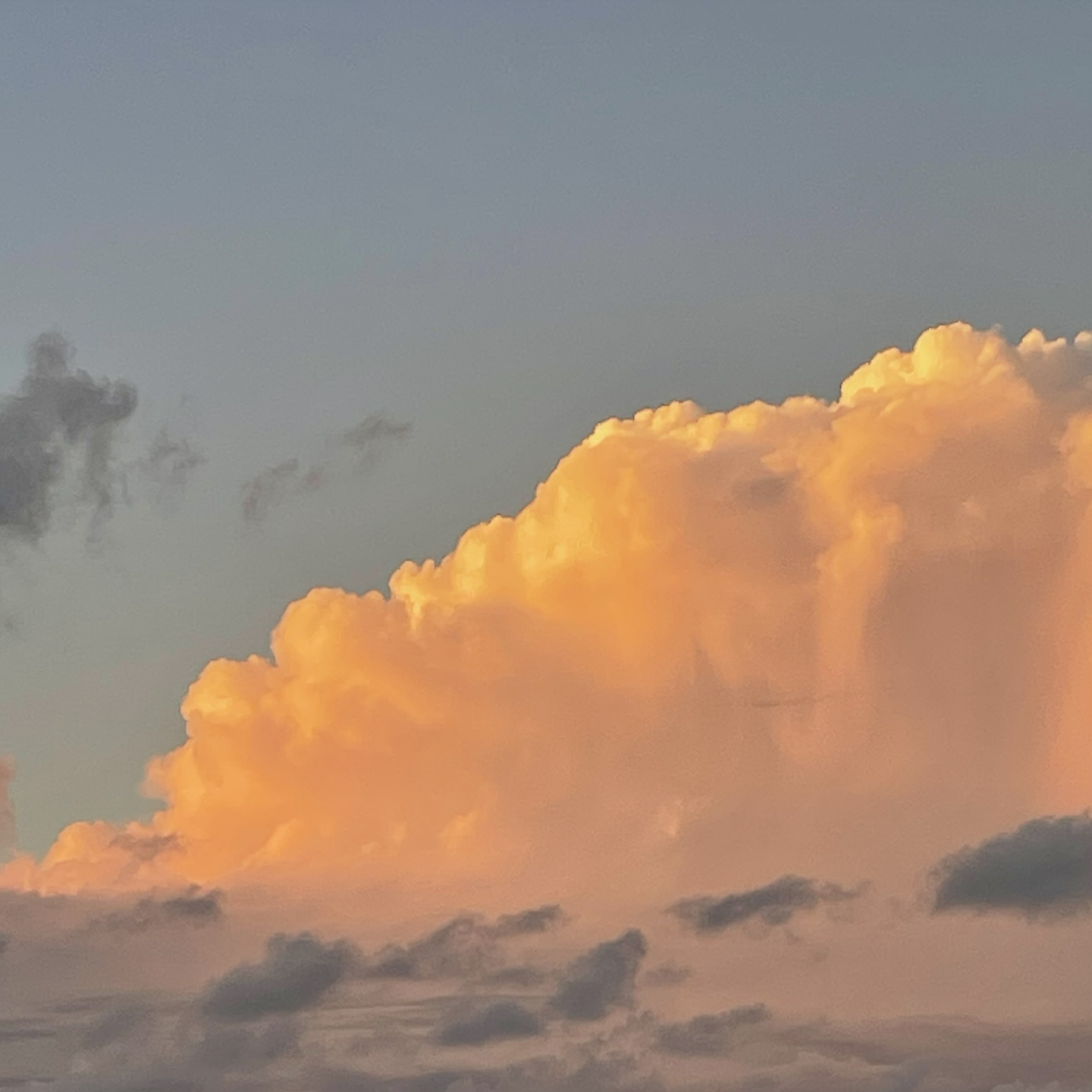 uprobablyforgotusbynow artwork