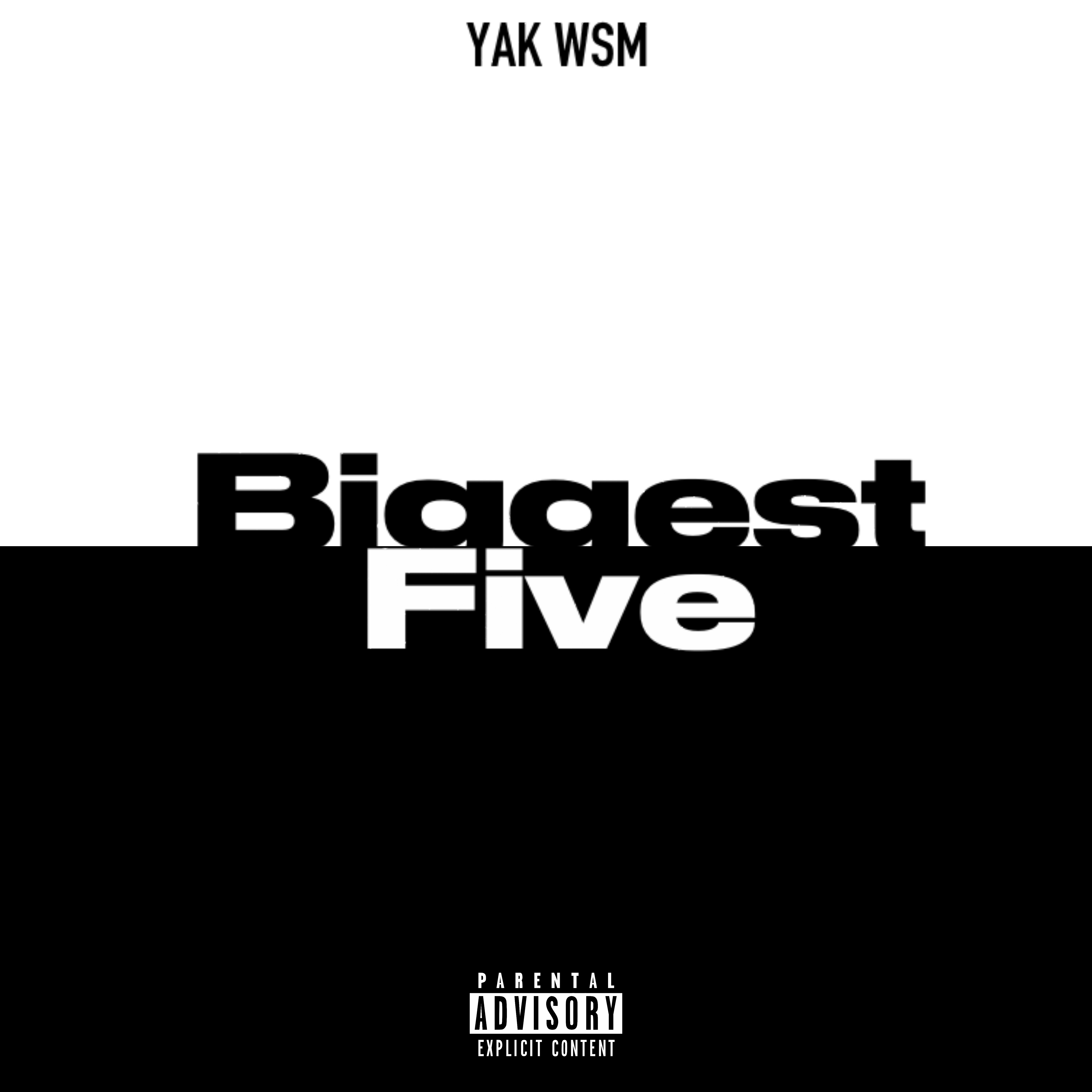 Biggest Five artwork