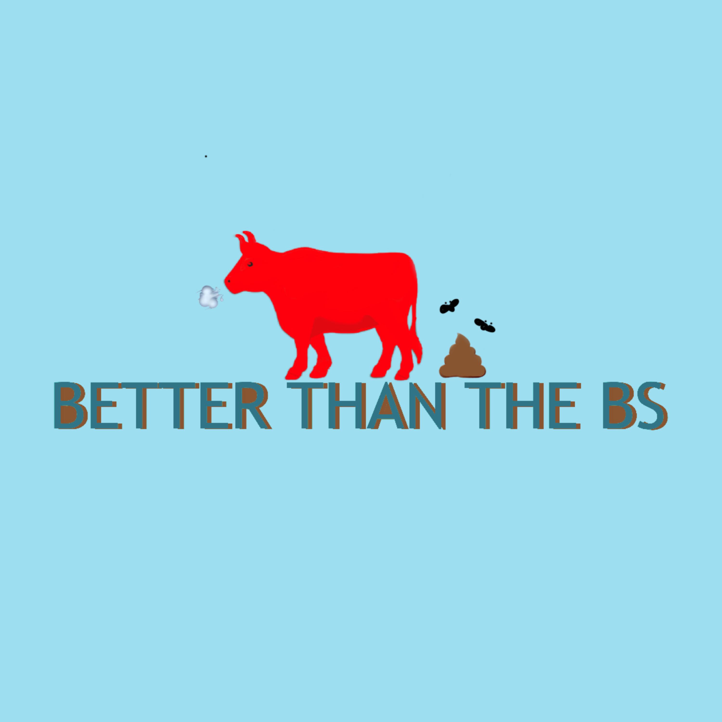 BETTER THAN THE BS artwork