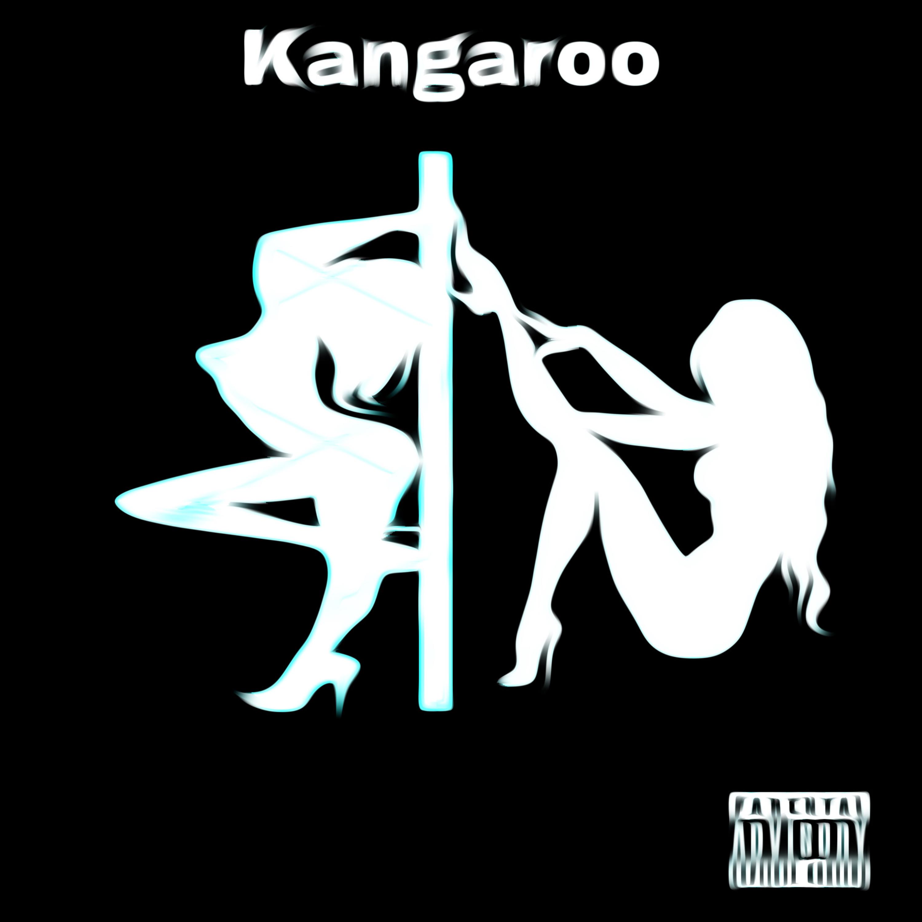 Kangaroo artwork