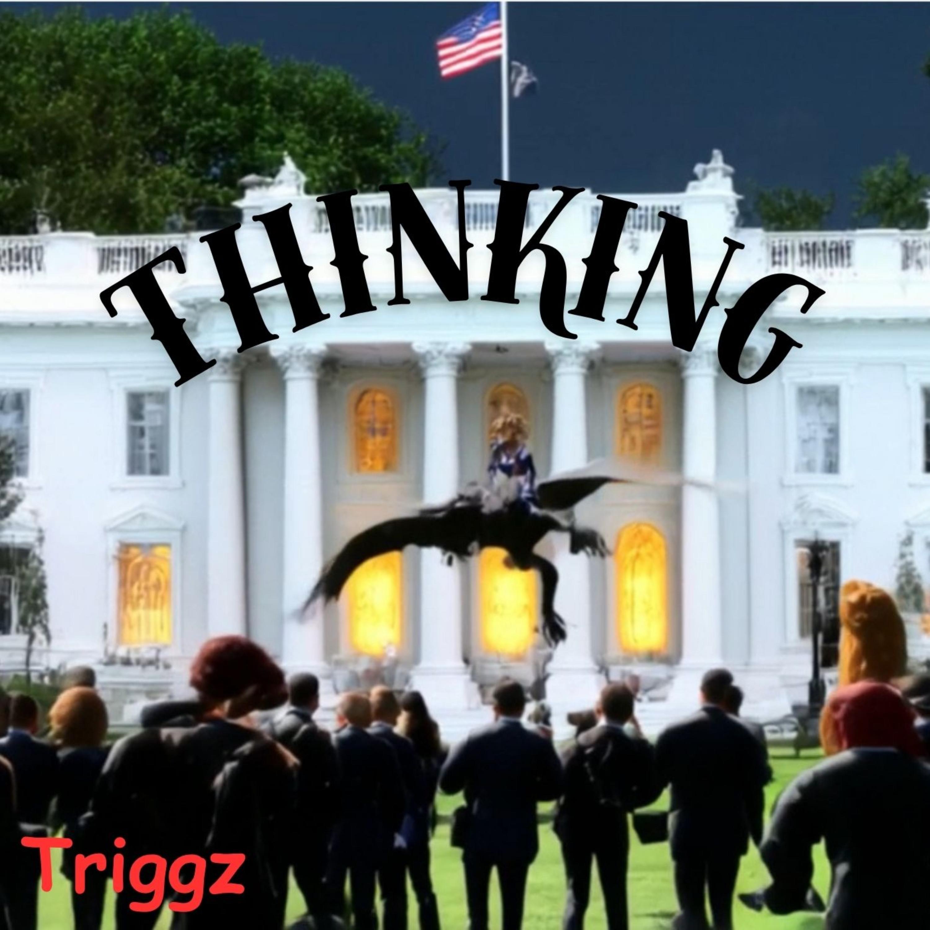 Thinking by Triggz cover art