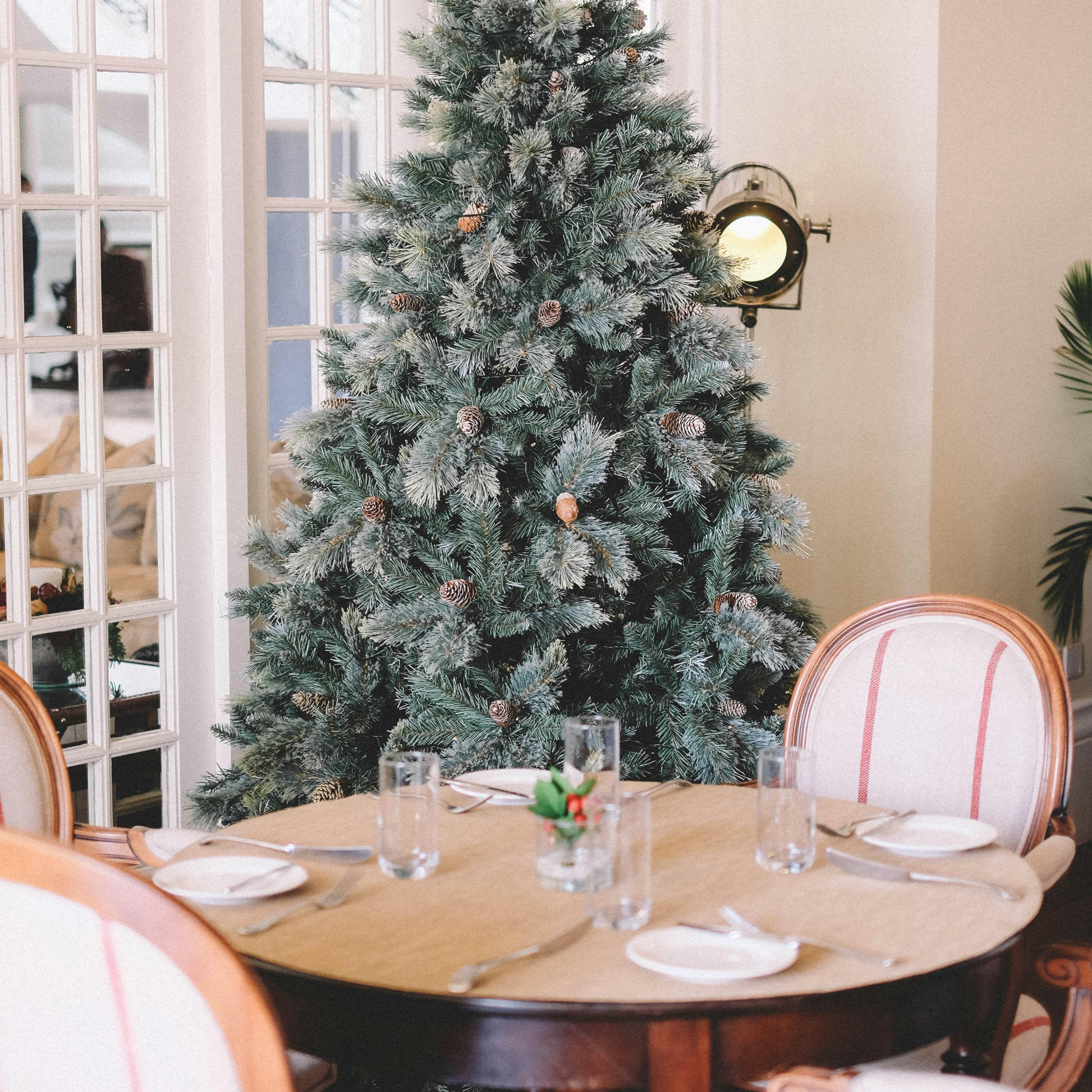 Snowfall Serenade artwork