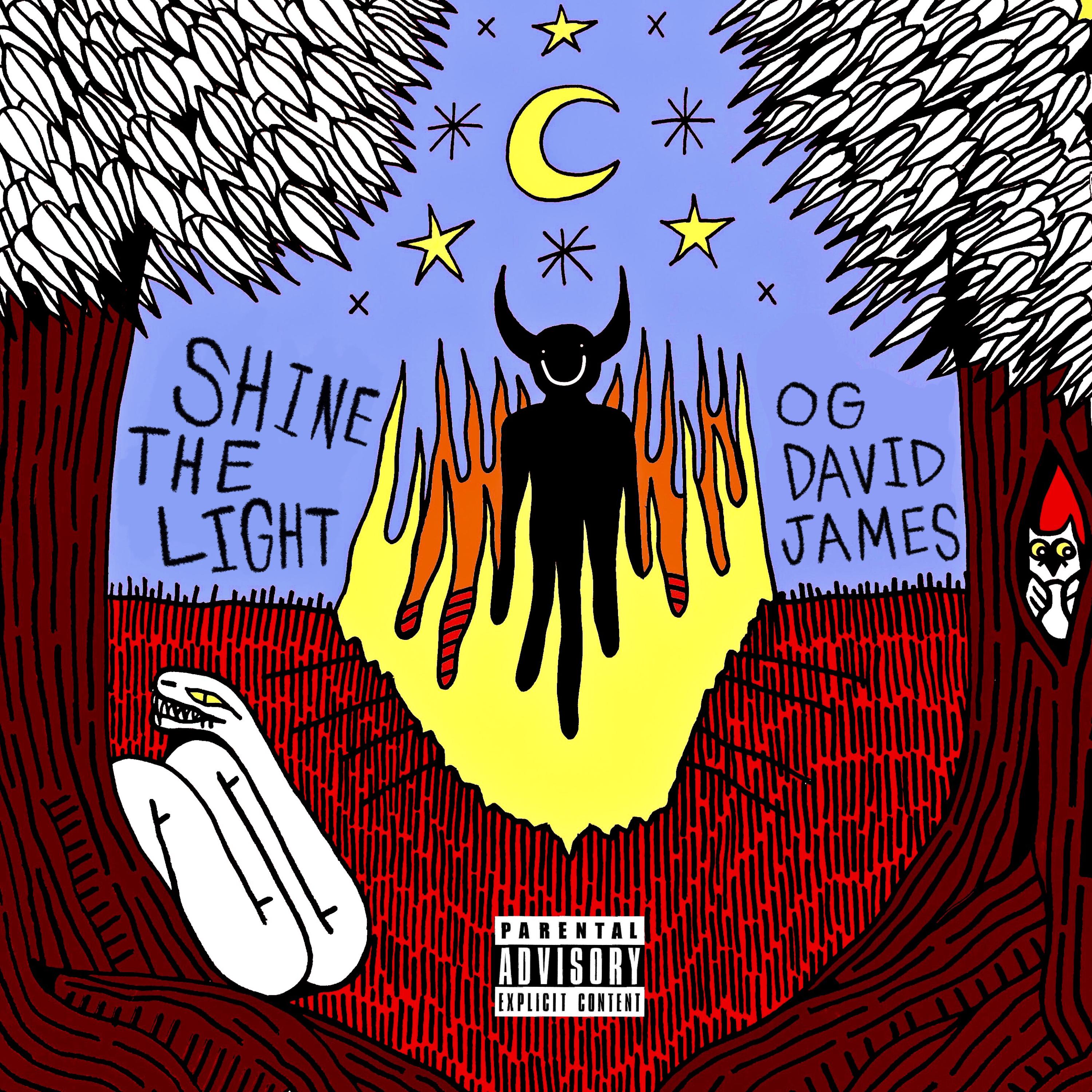 SHINE THE LIGHT artwork