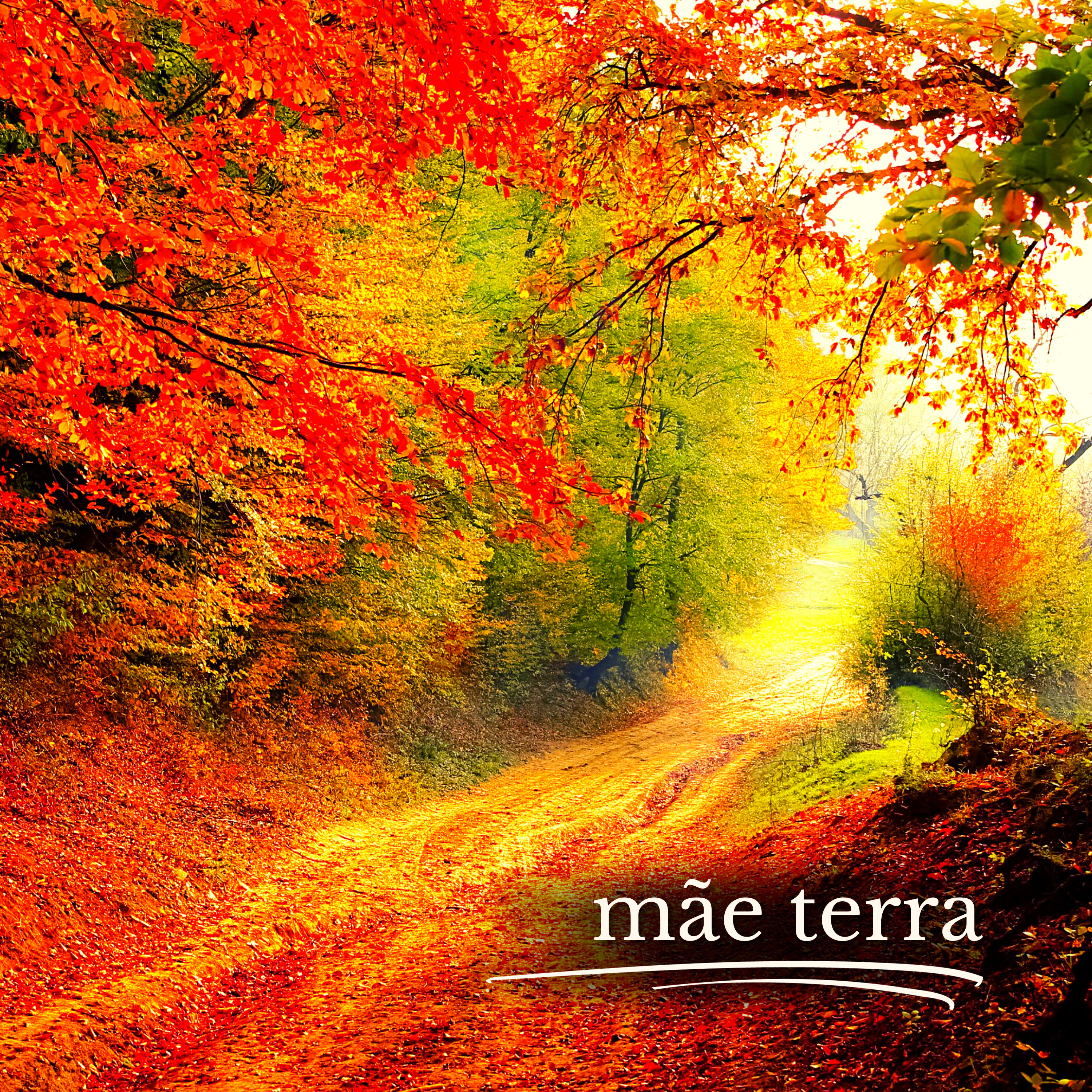 Os Sons da Mãe Terra artwork