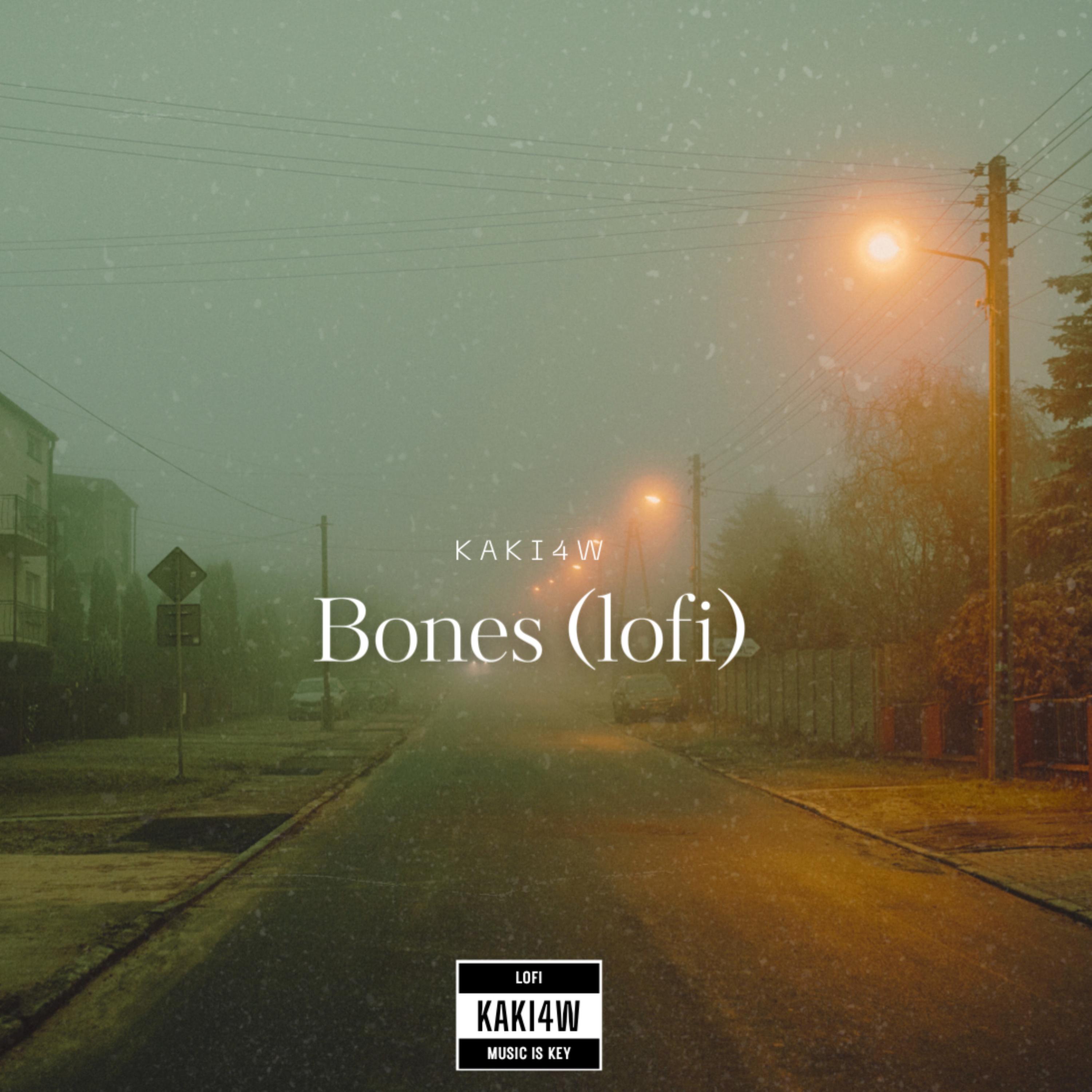 Bones (lofi) artwork
