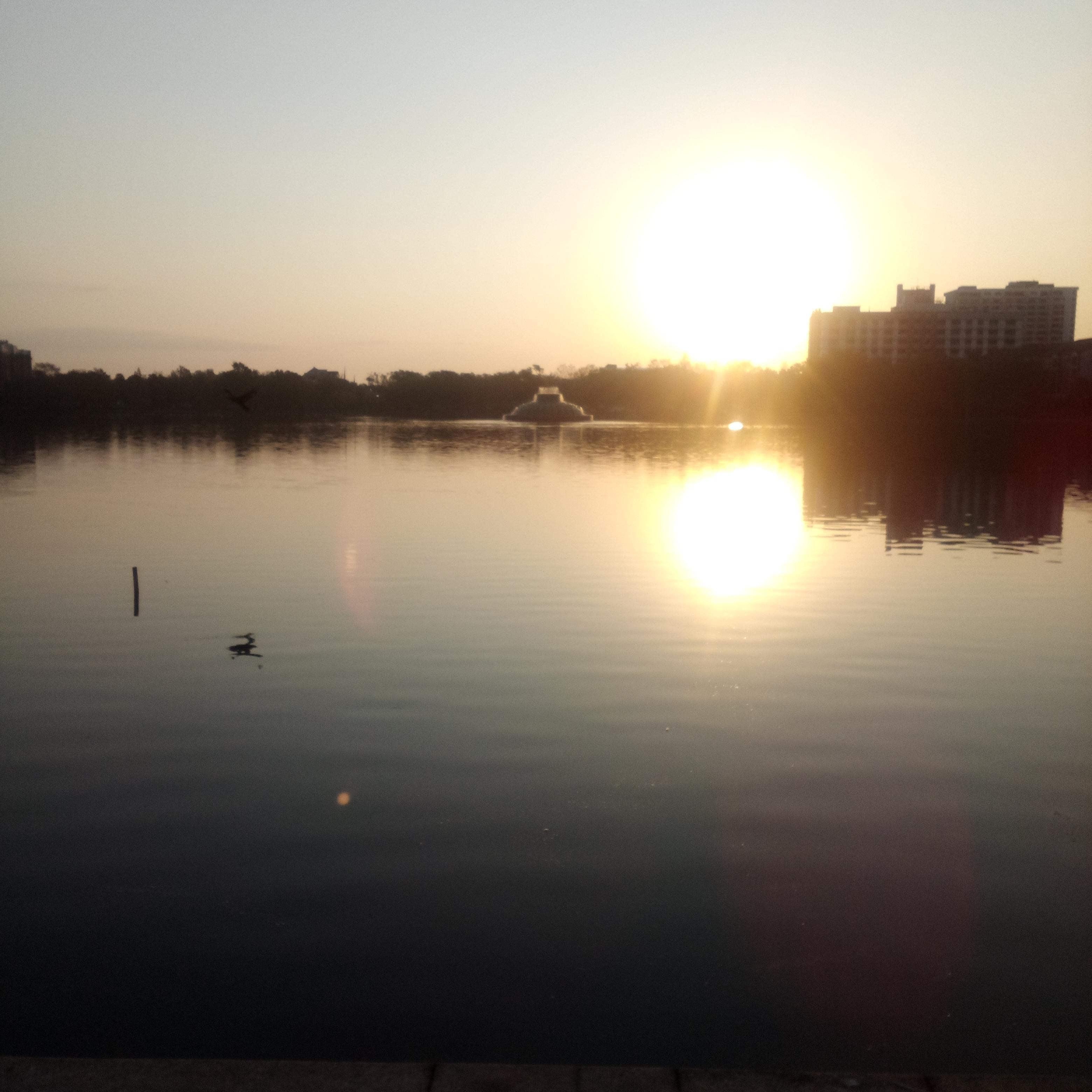 High Sexual Energy artwork