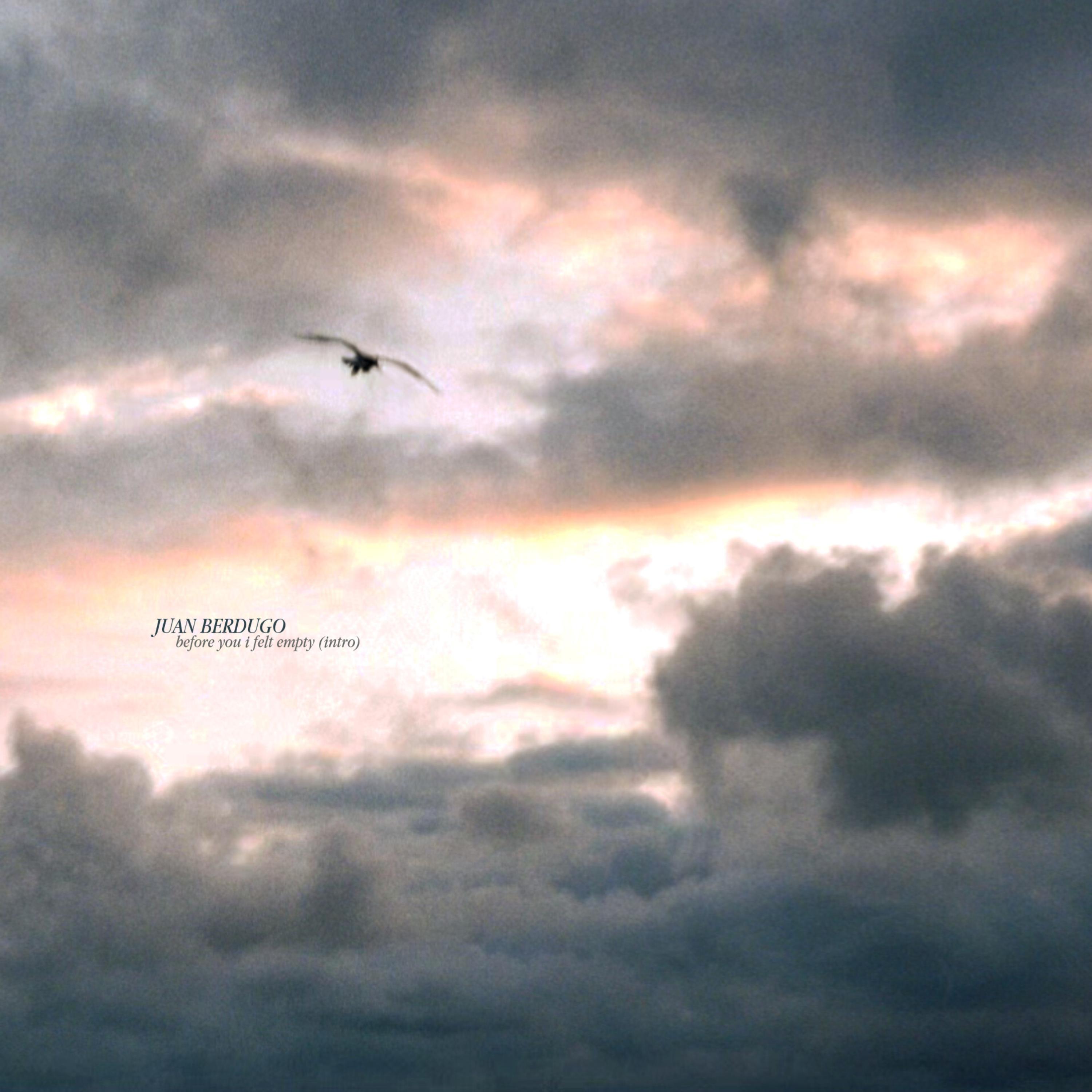 before you i felt empty (intro) artwork