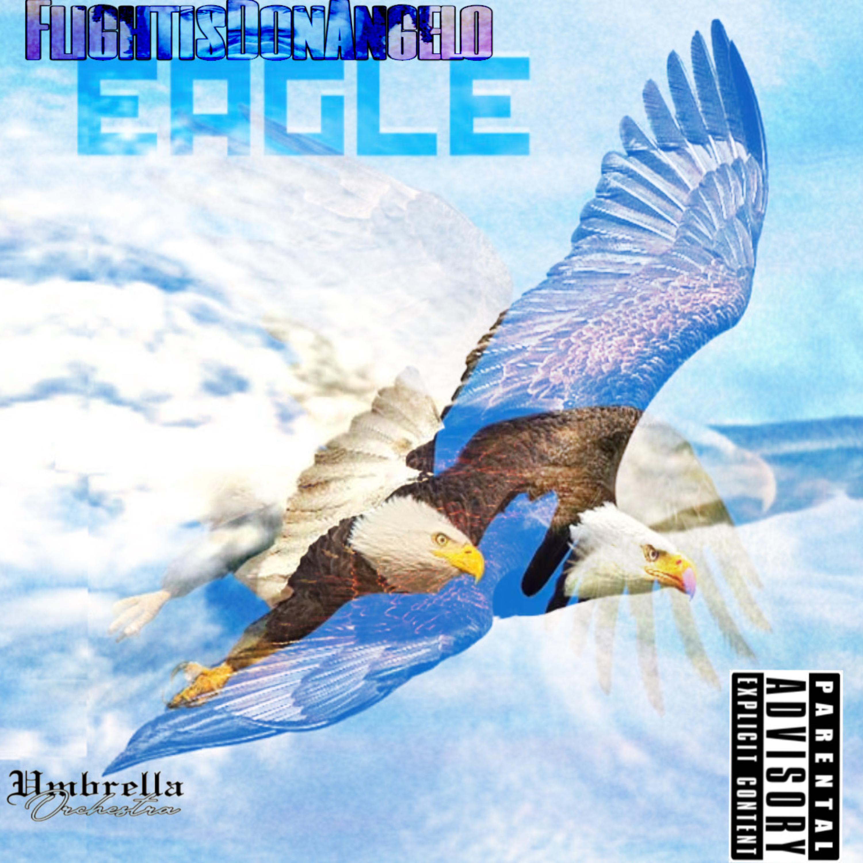 Eagle artwork
