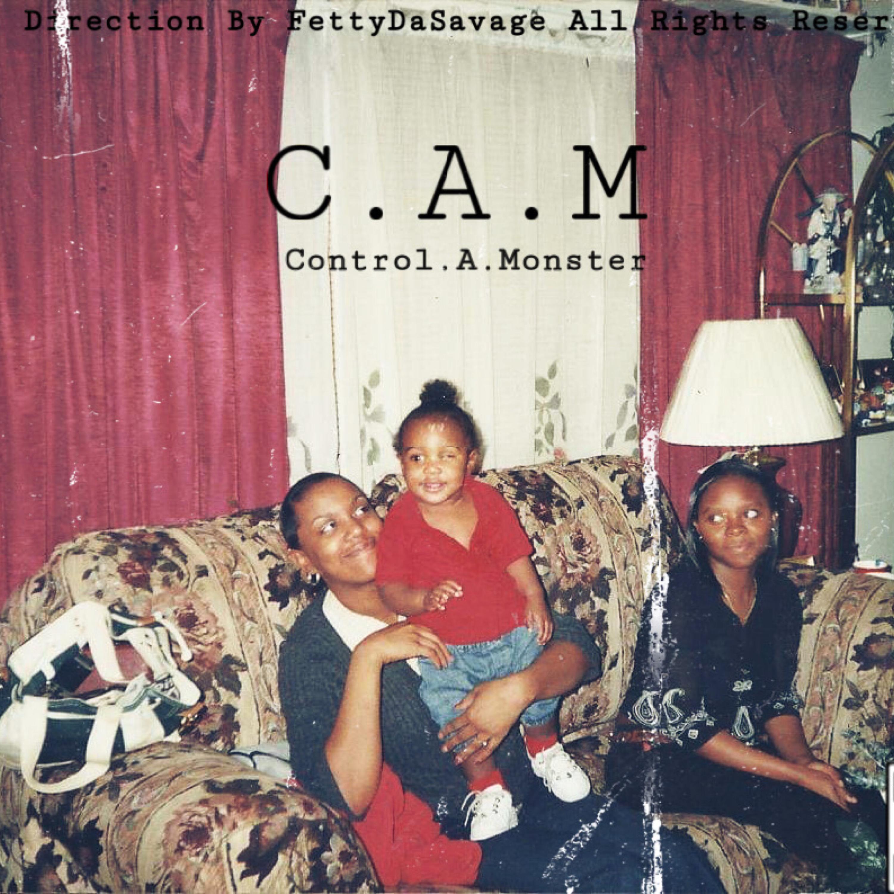 C.A.M artwork