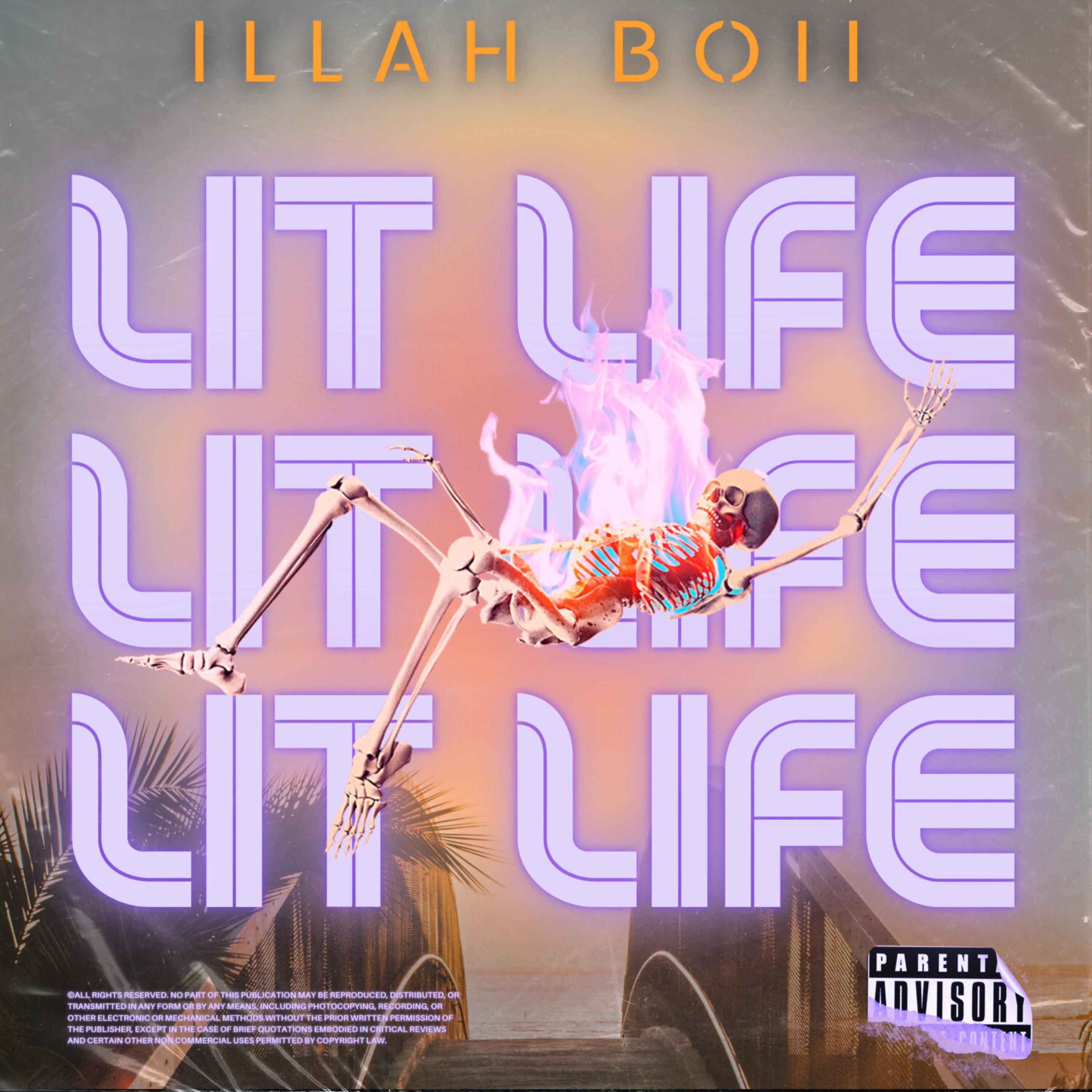 Lit Life artwork