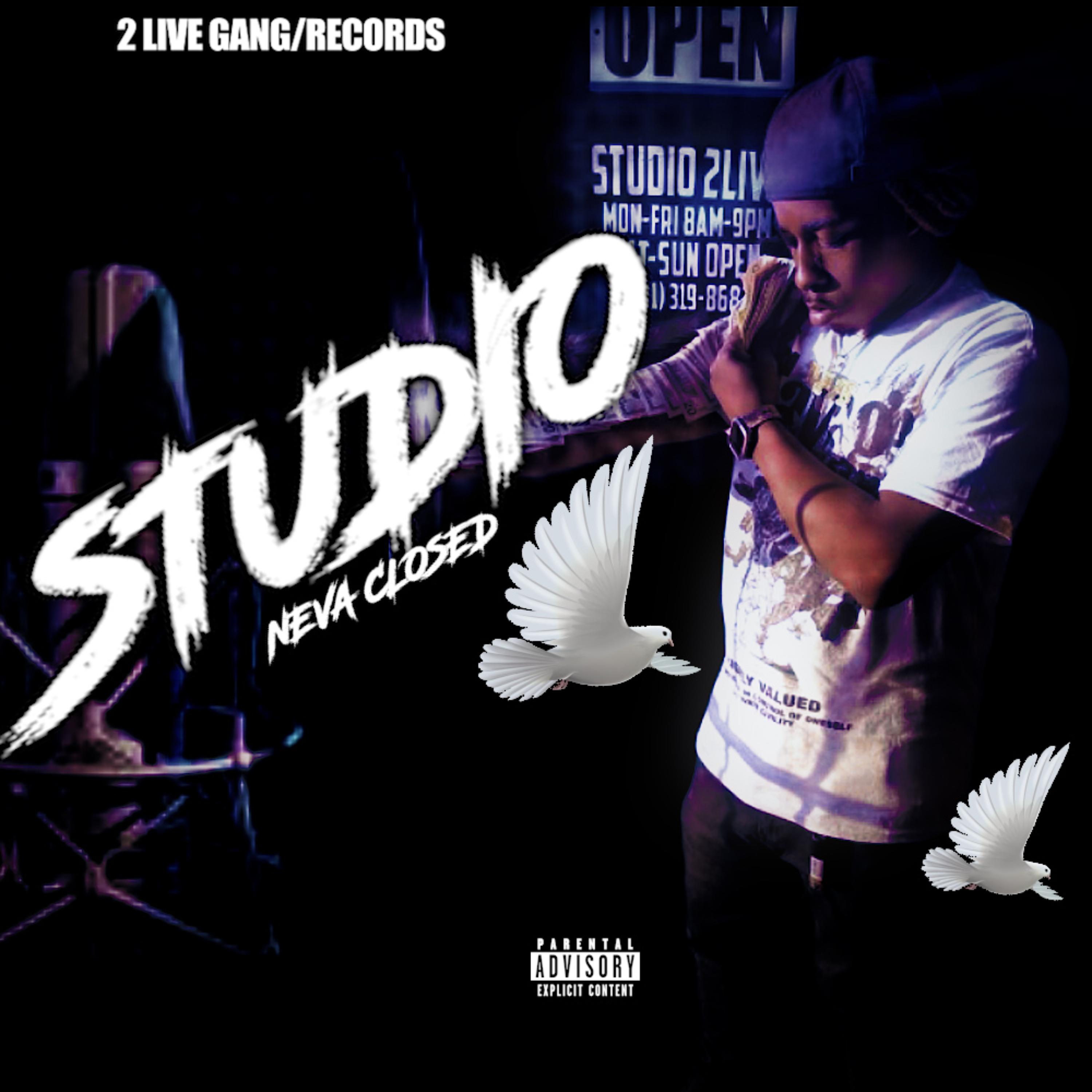 Studio Neva Closed artwork
