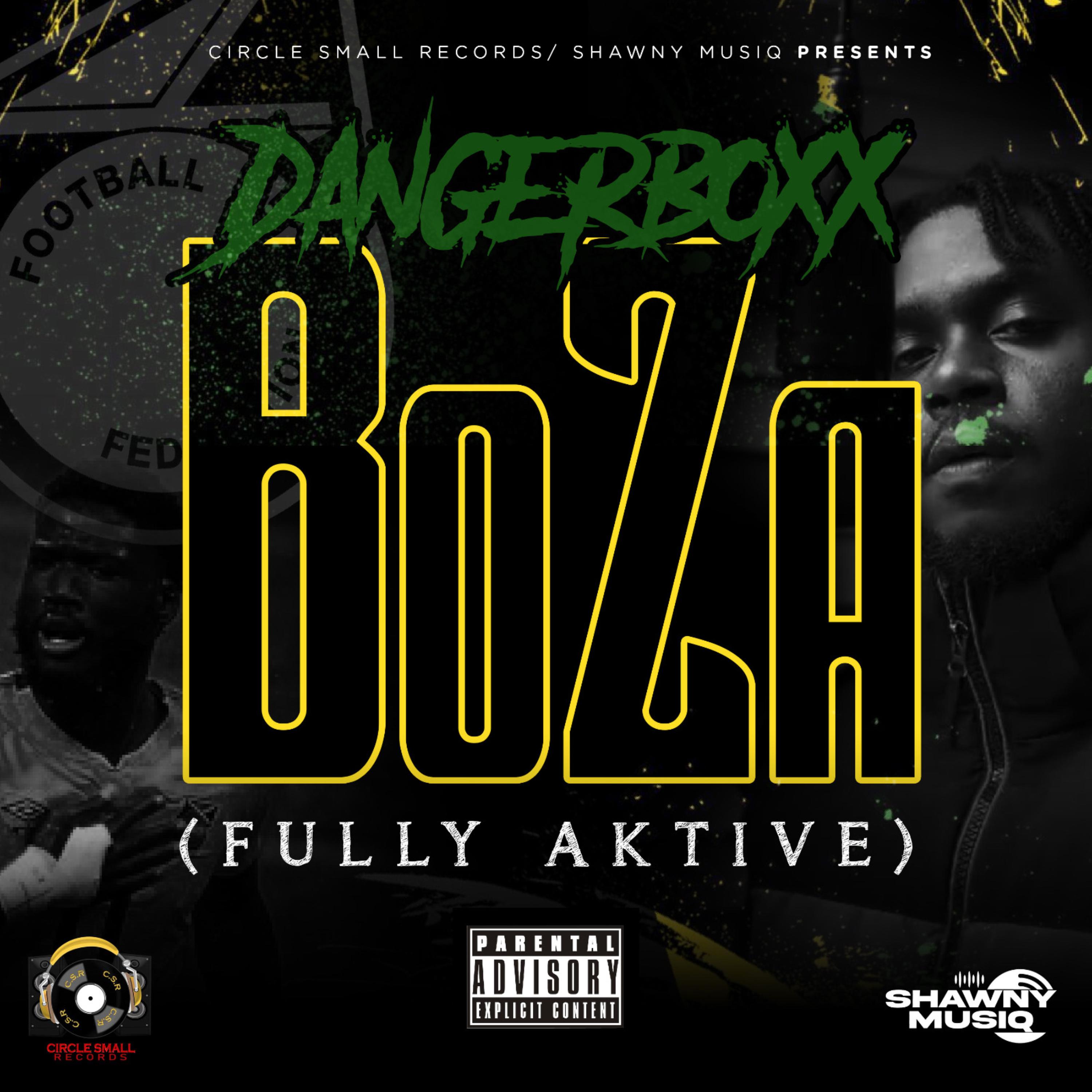 BoZa (Fully Aktive) artwork