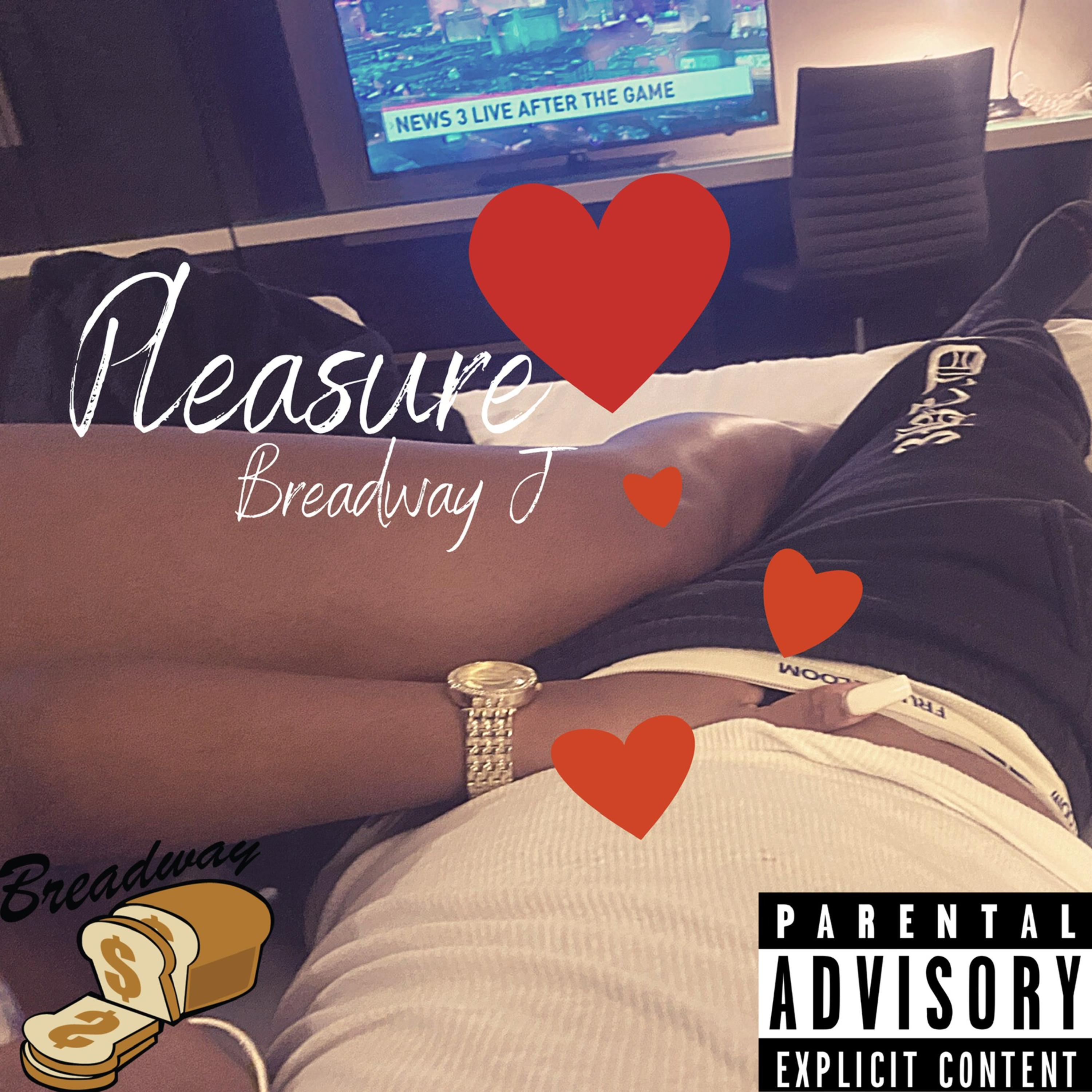 Pleasure artwork