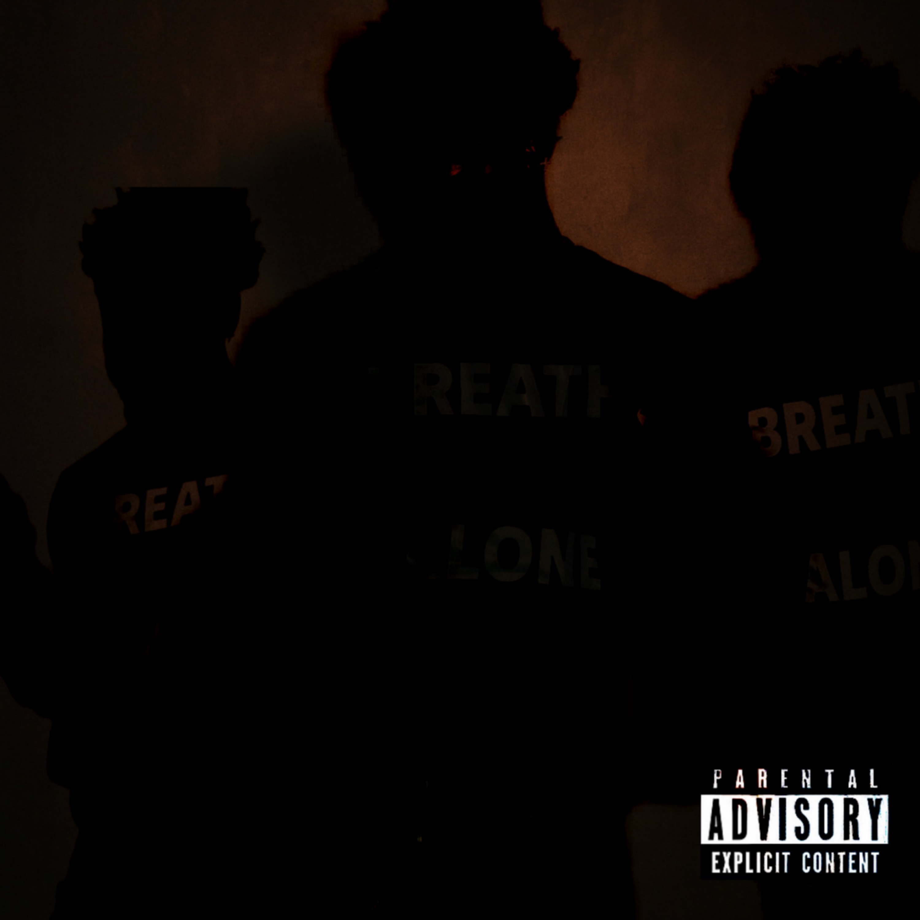 D*PE INSIDE artwork