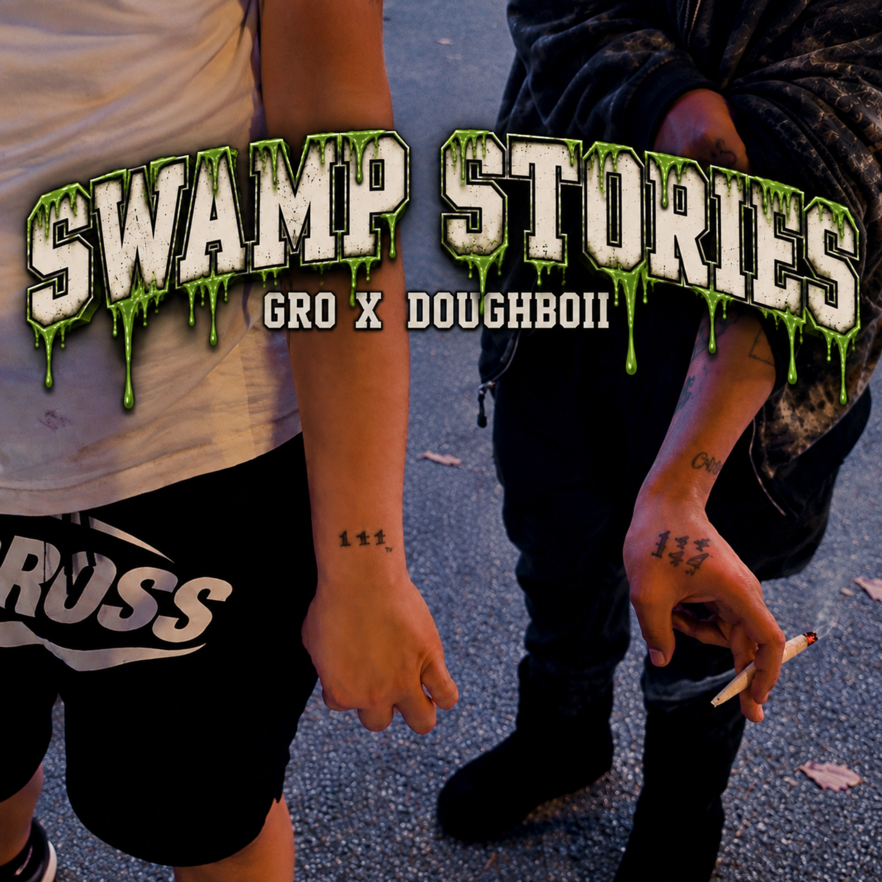 Swamp Stories by Big Gro Wavy cover art