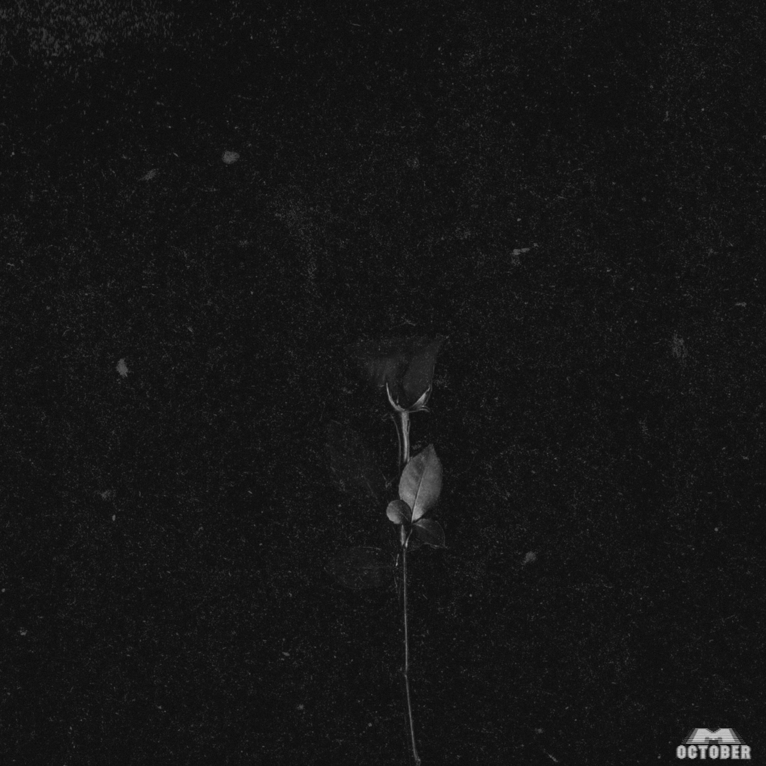 Kiss me at the rave artwork