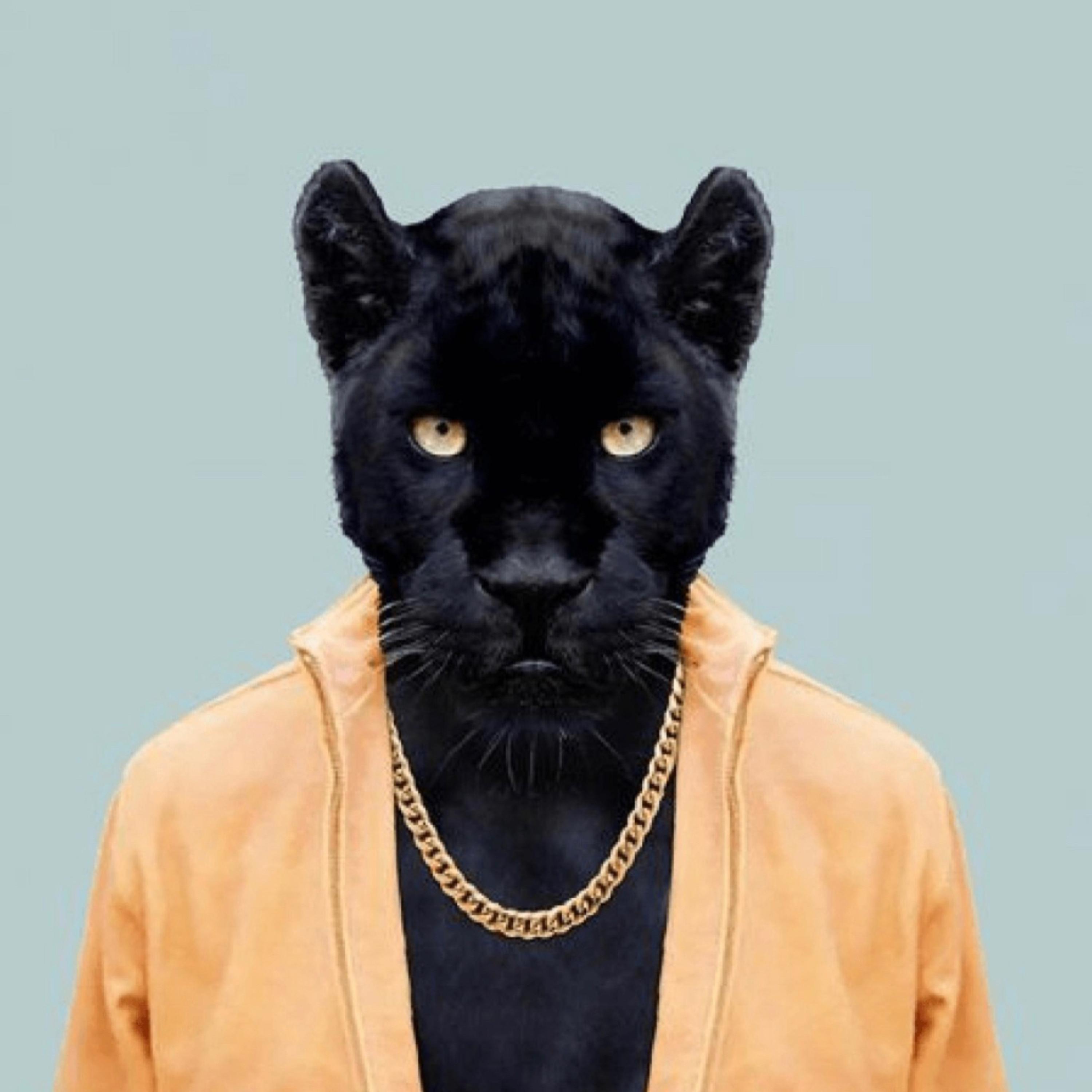 Hold On artwork