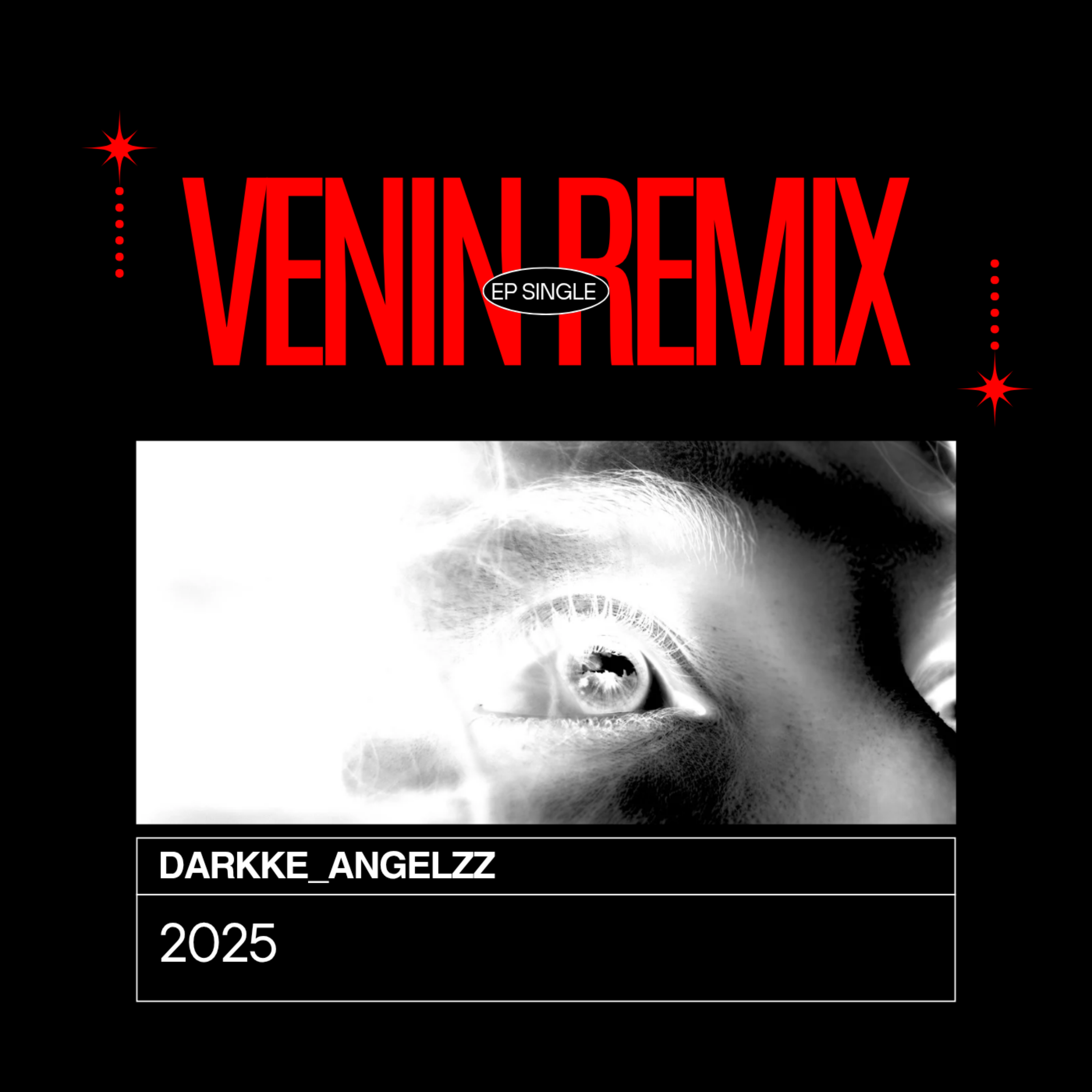 VENIN (REMIX) artwork