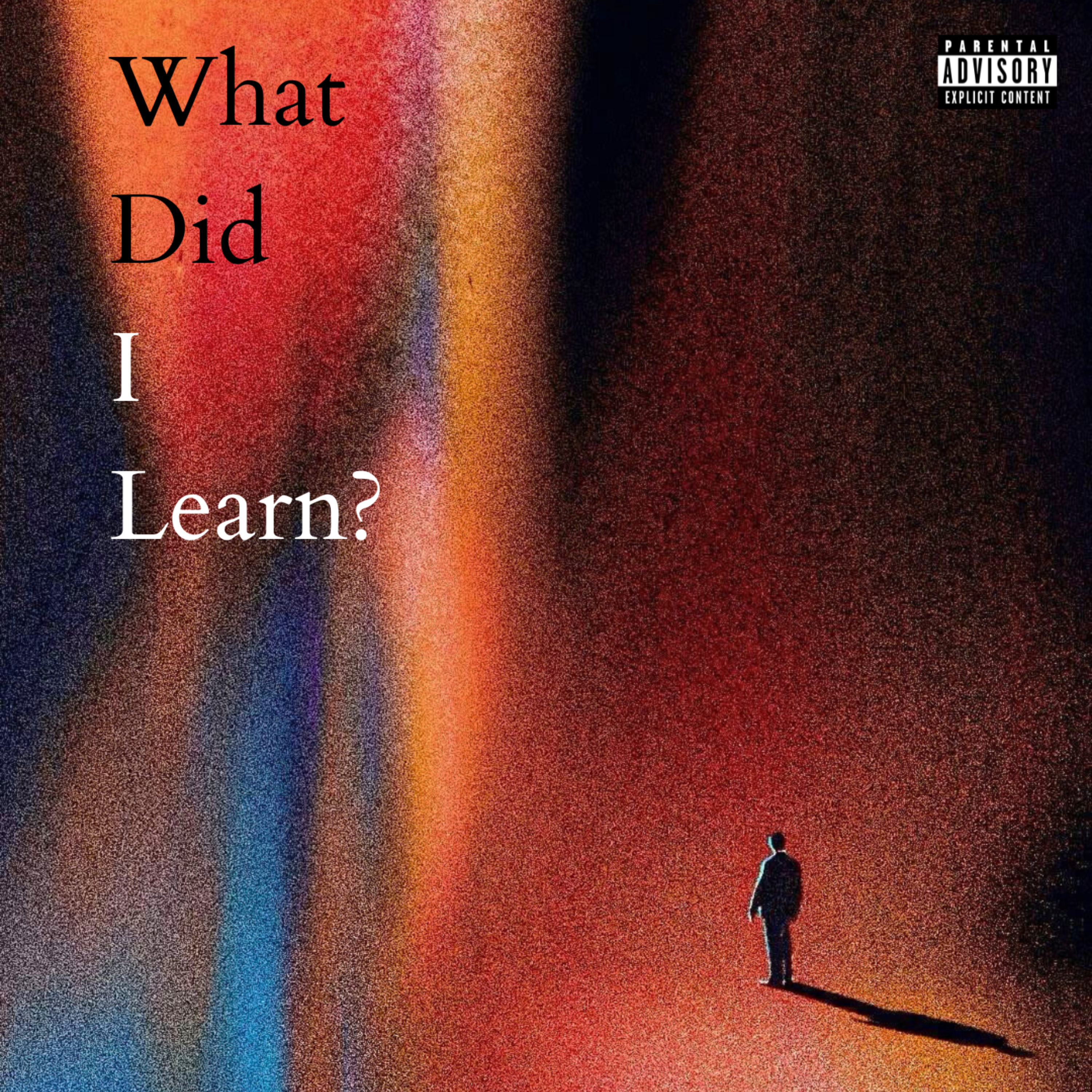 What Did I Learn? by Casualty! cover art