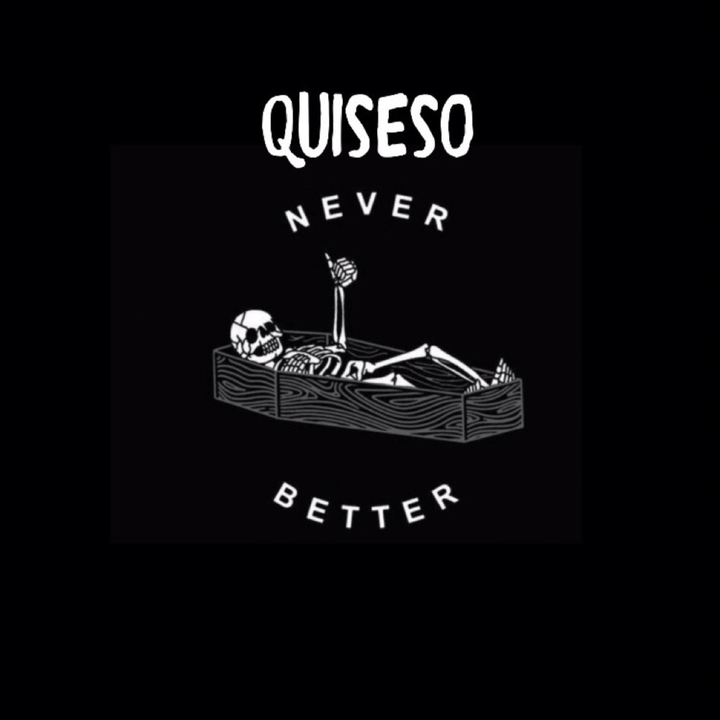 Never Better Freestyle artwork