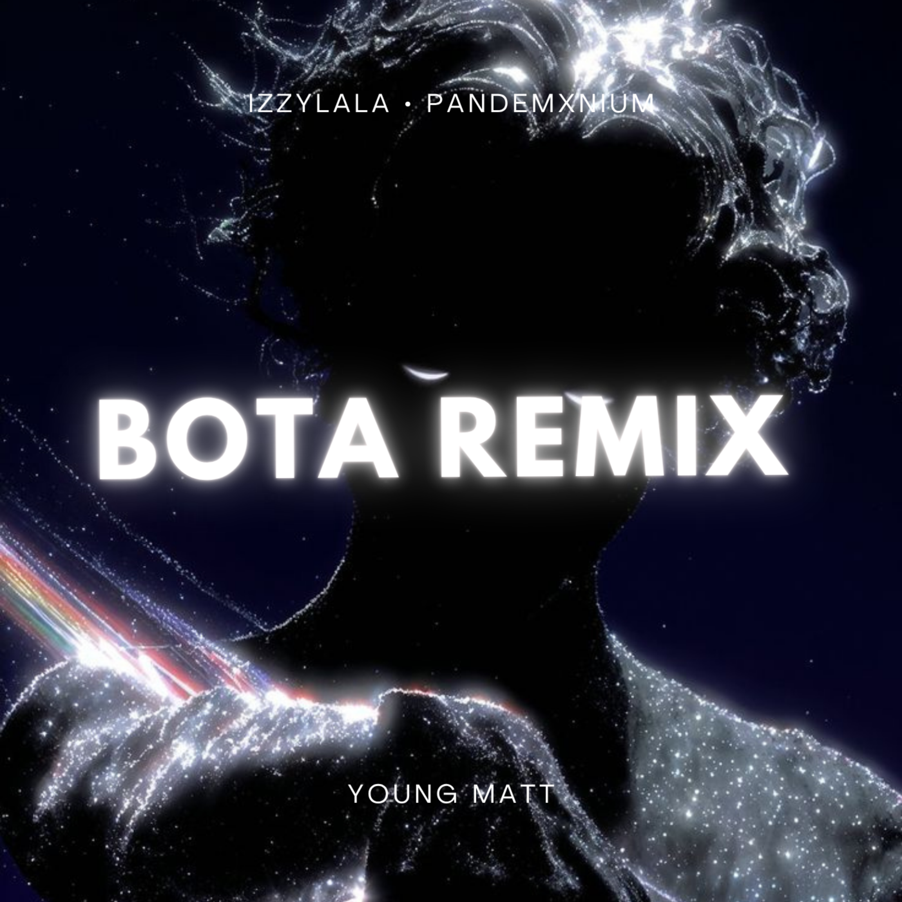 BOTA (REMIX) artwork