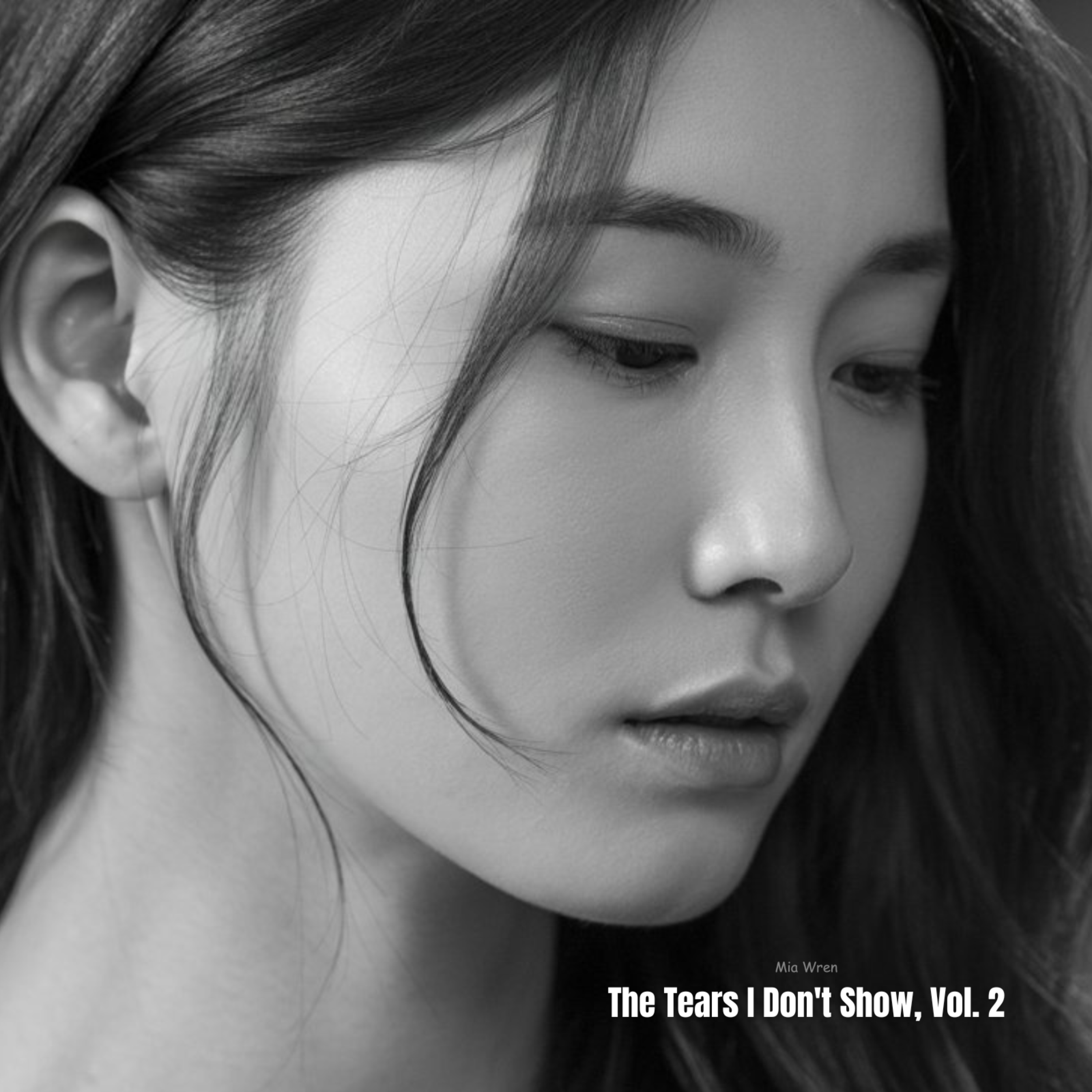 The Tears I Don't Show, Vol. 2 artwork