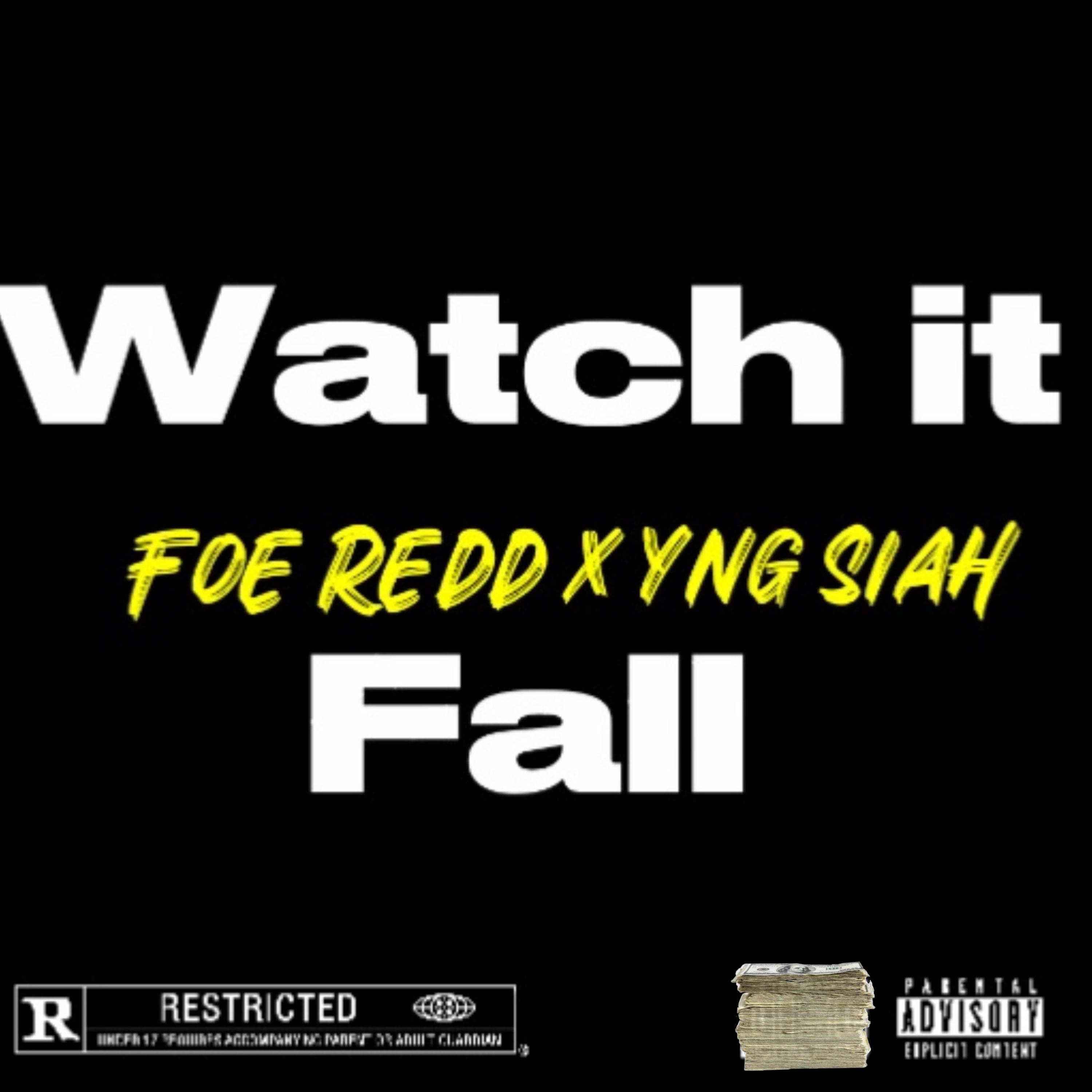 Watch It Fall artwork
