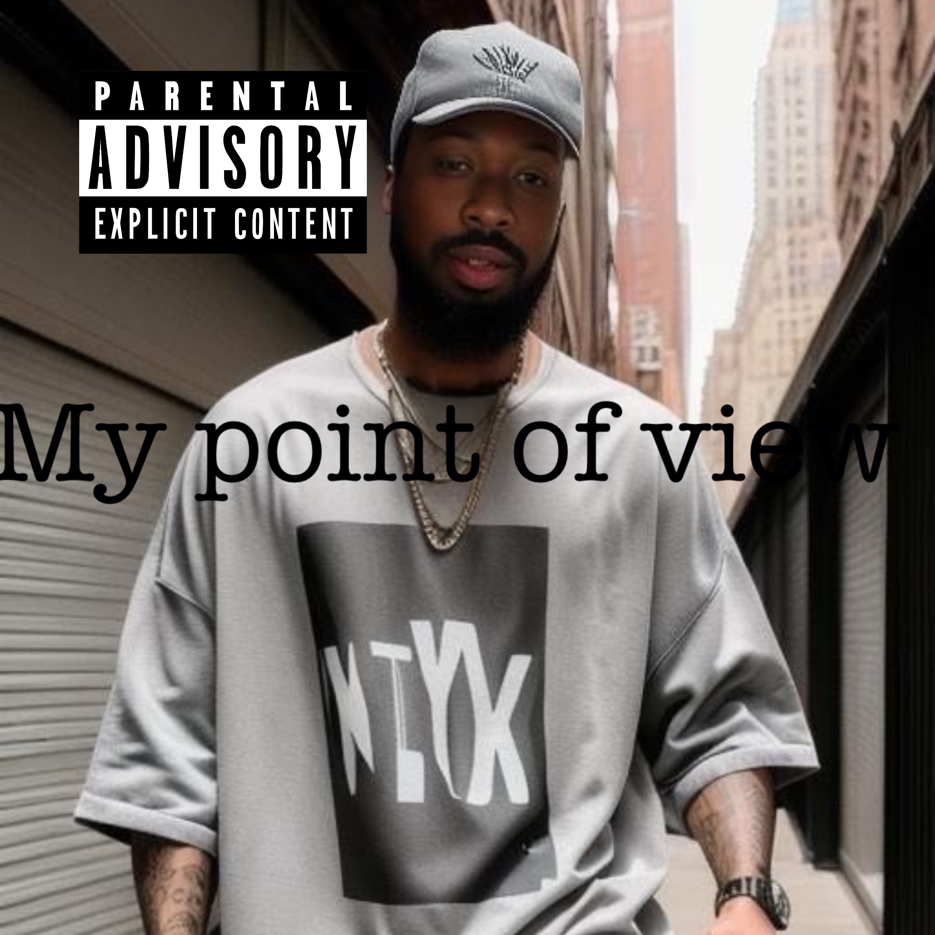 My Point Of View artwork