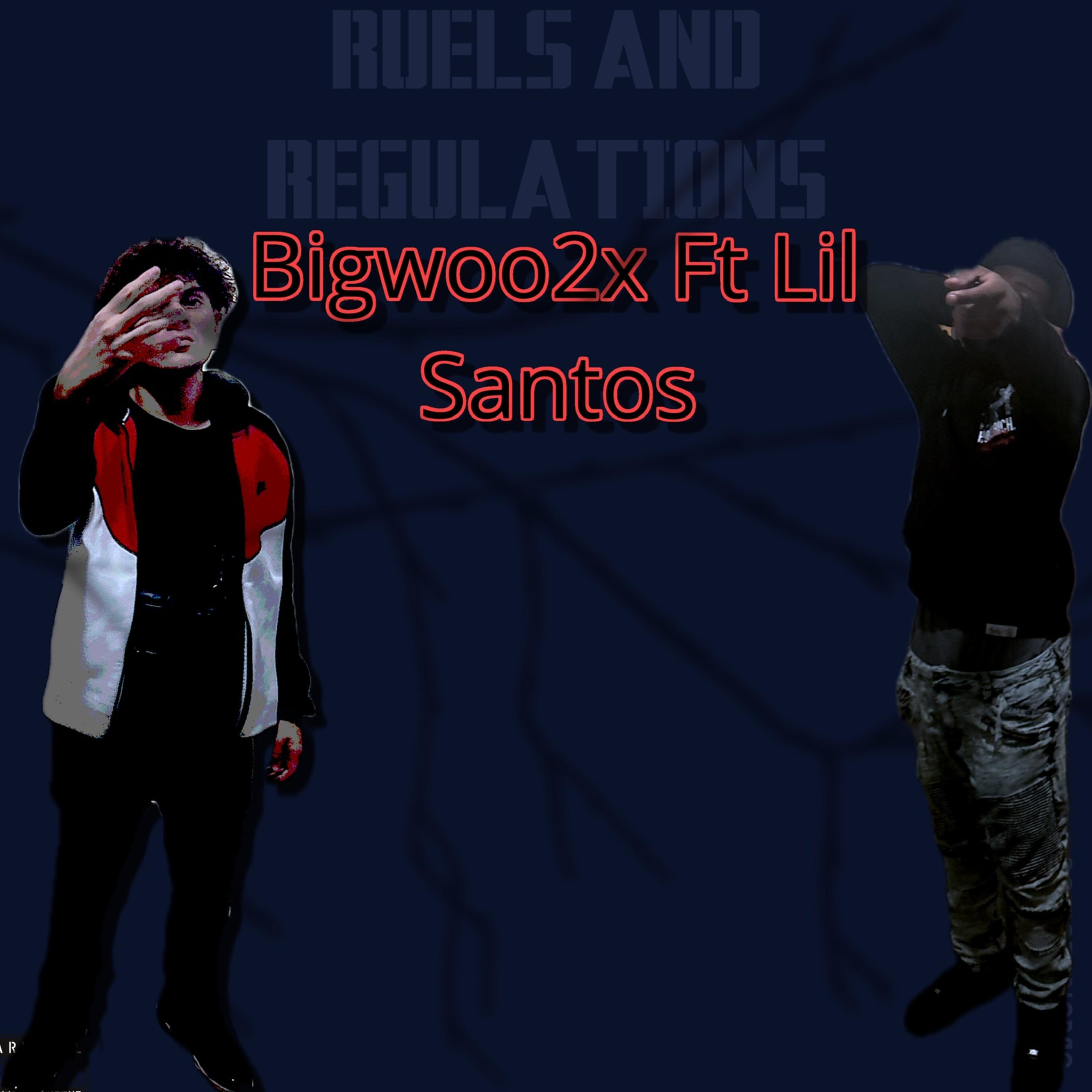 RulesNRegulations by Bigwoo2x cover art