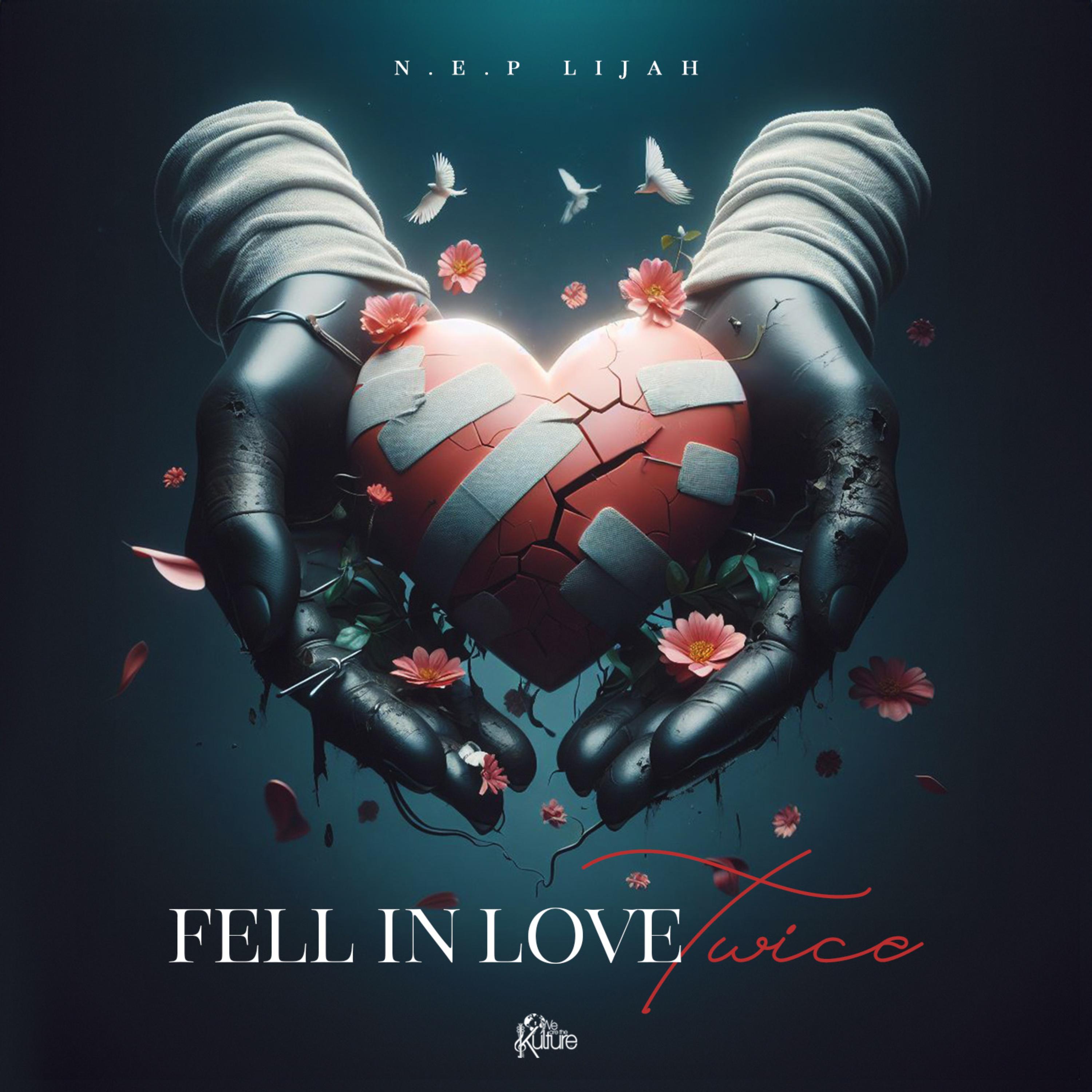 Fell In Love Twice artwork