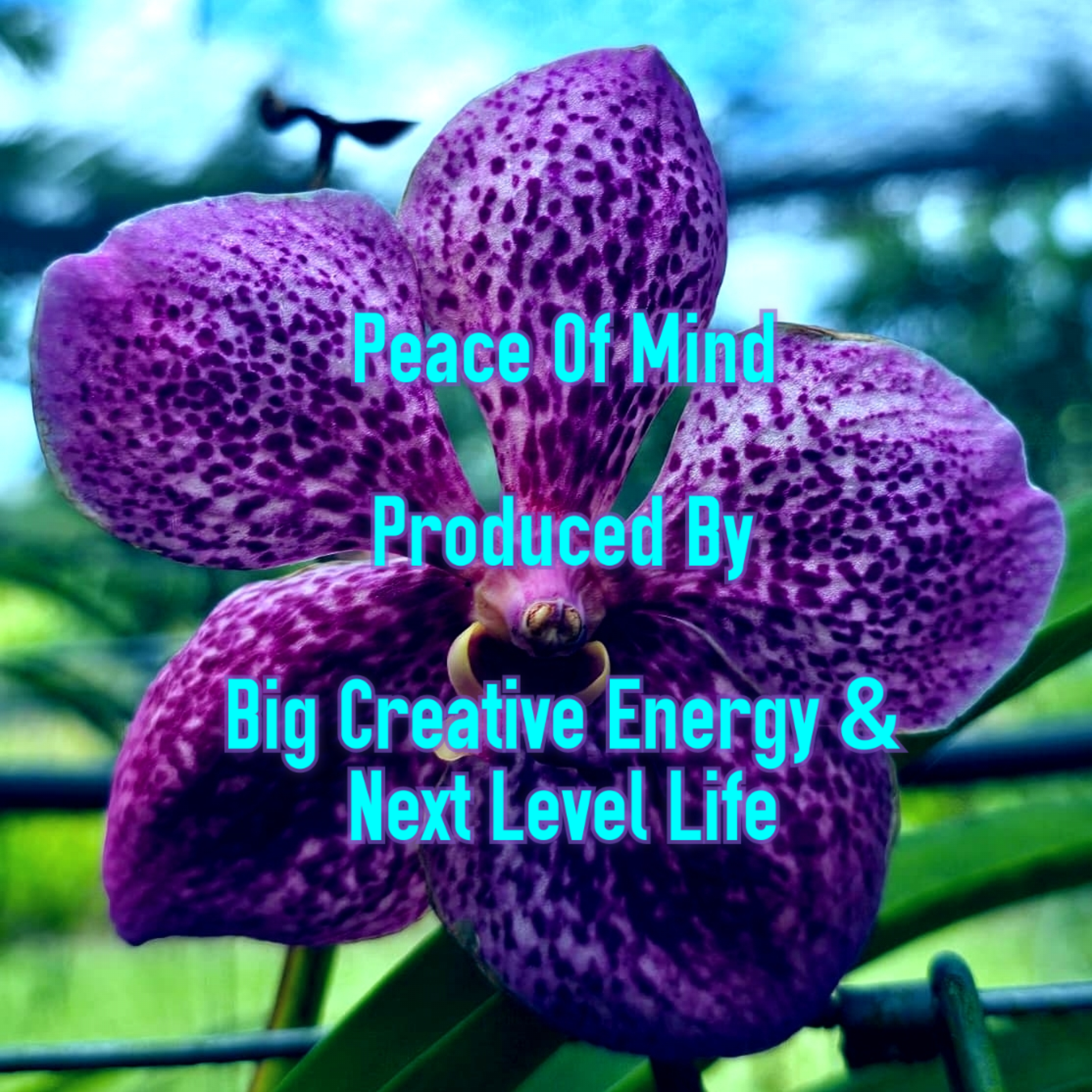 Peace Of Mind by Big Creative Energy cover art