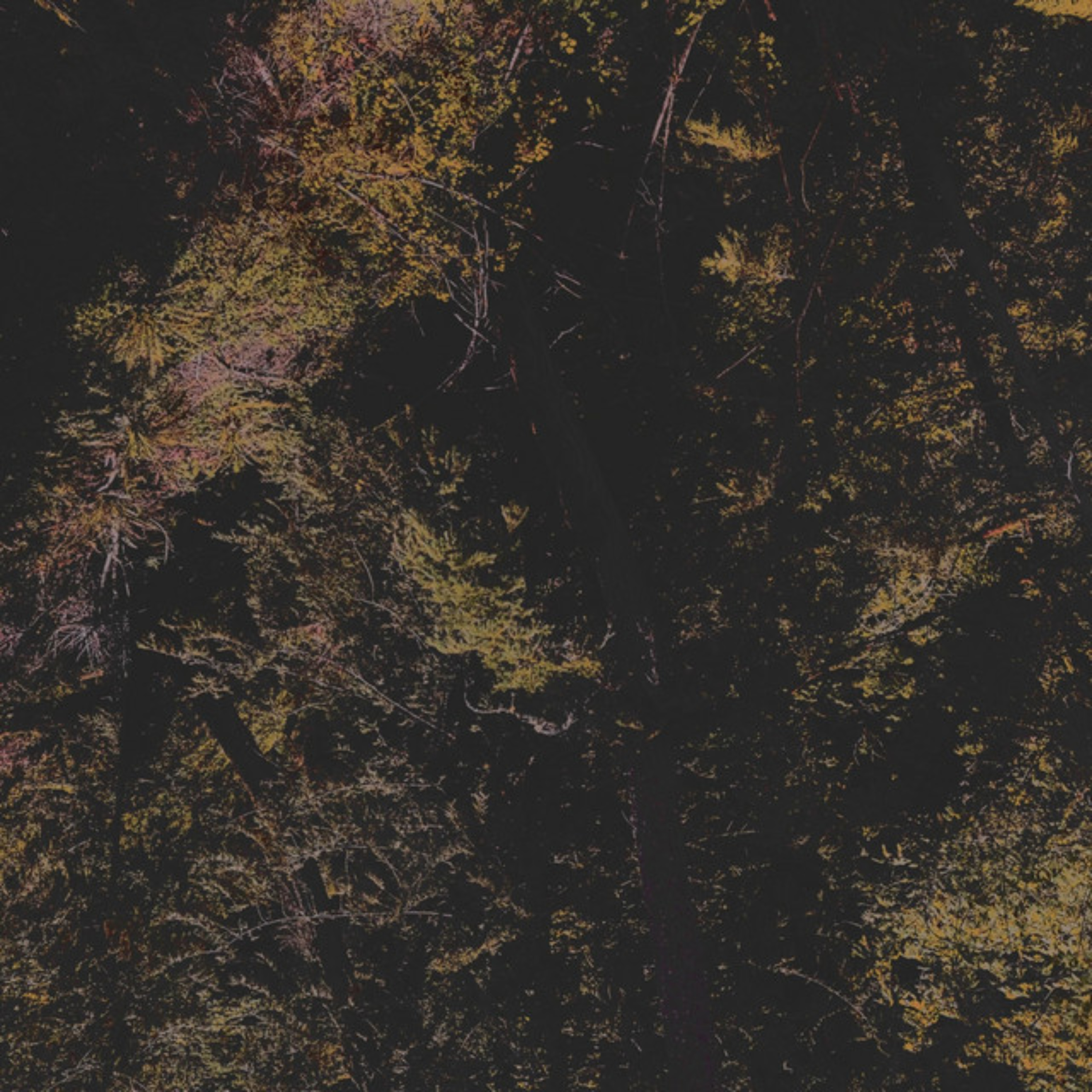 32,679 artwork