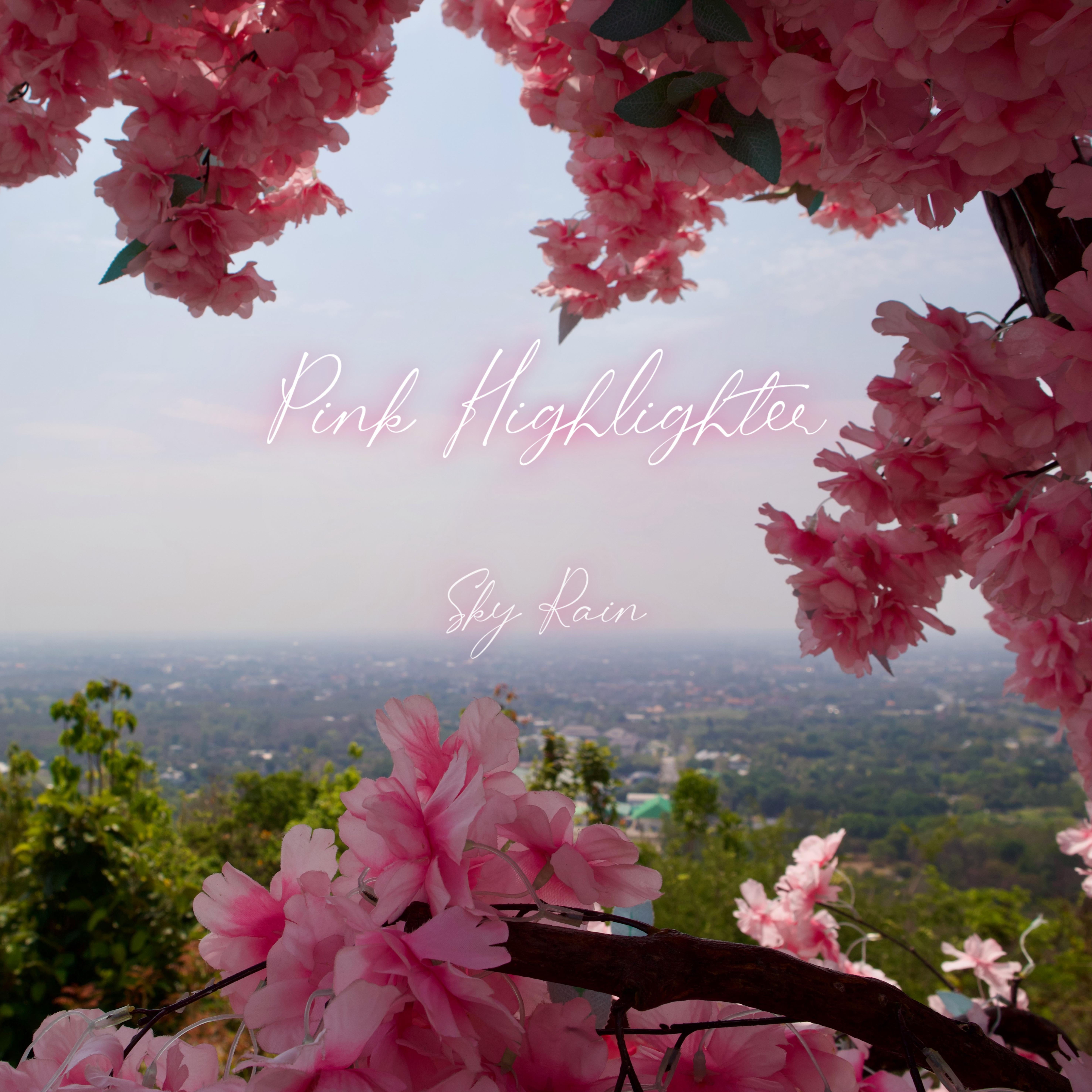 Pink Highlighter by Sky Rain cover art