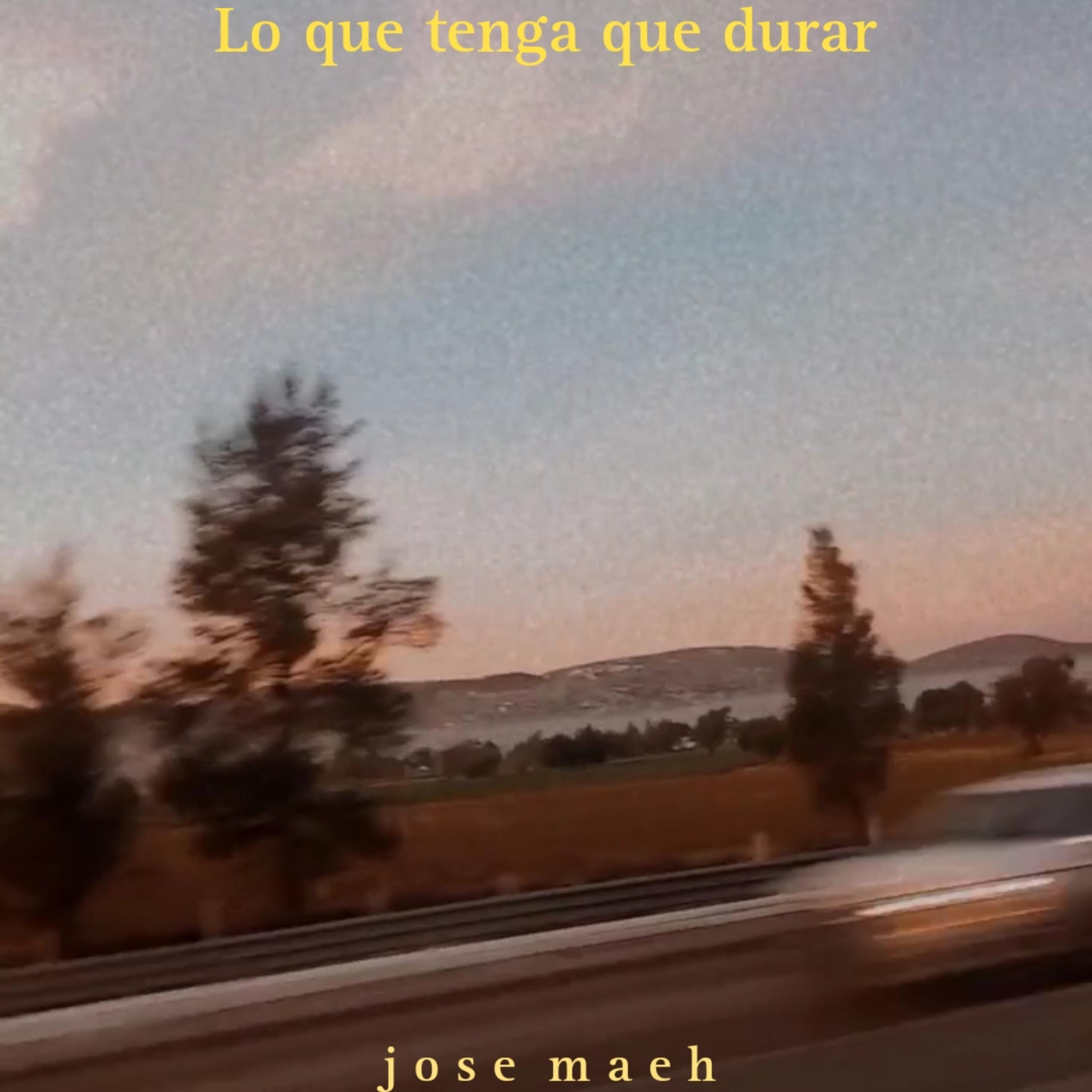 Lo que tenga que durar artwork