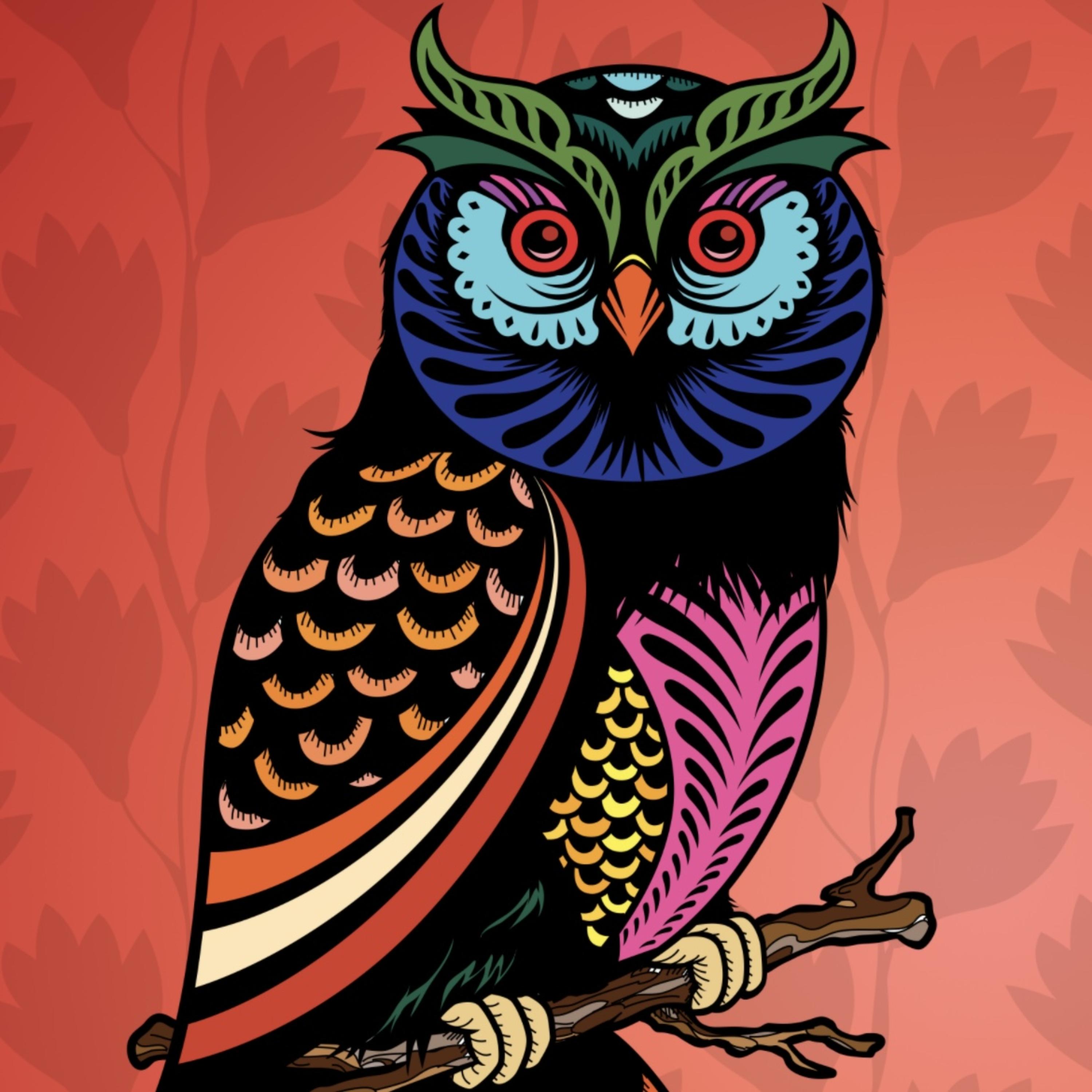 Open Mic Night Dubliner North Phoenix by The Angry Duckling & His Custom Beats cover art