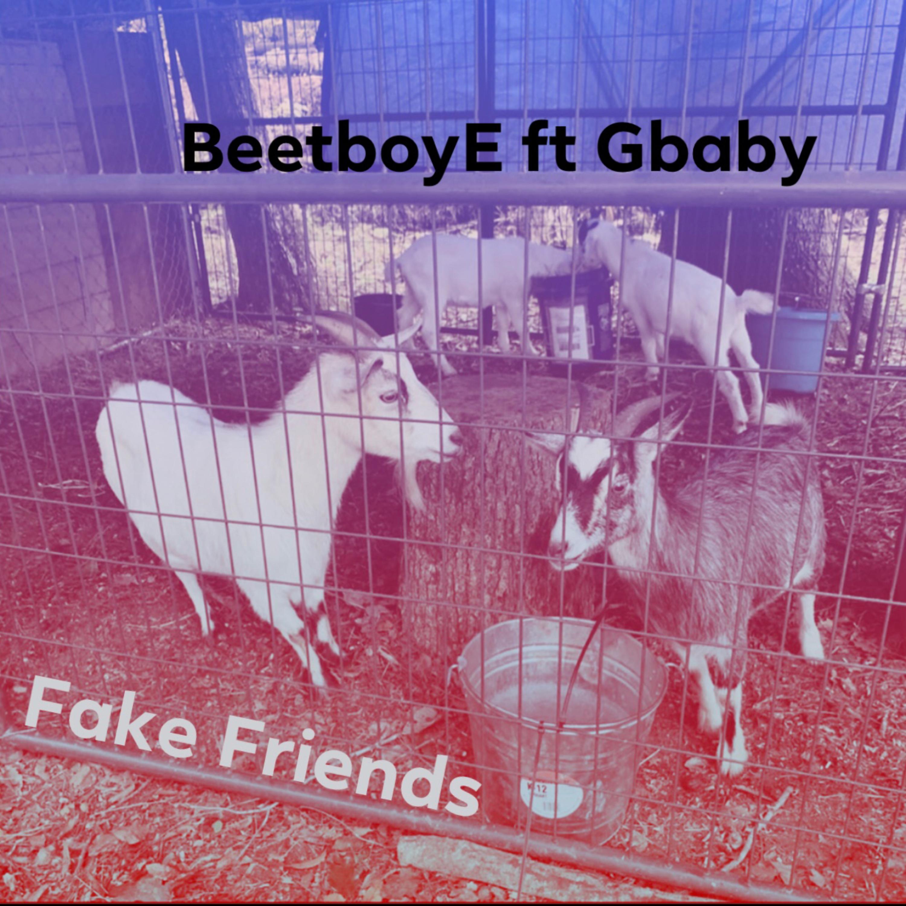 Fake Friends by BeetboyE cover art