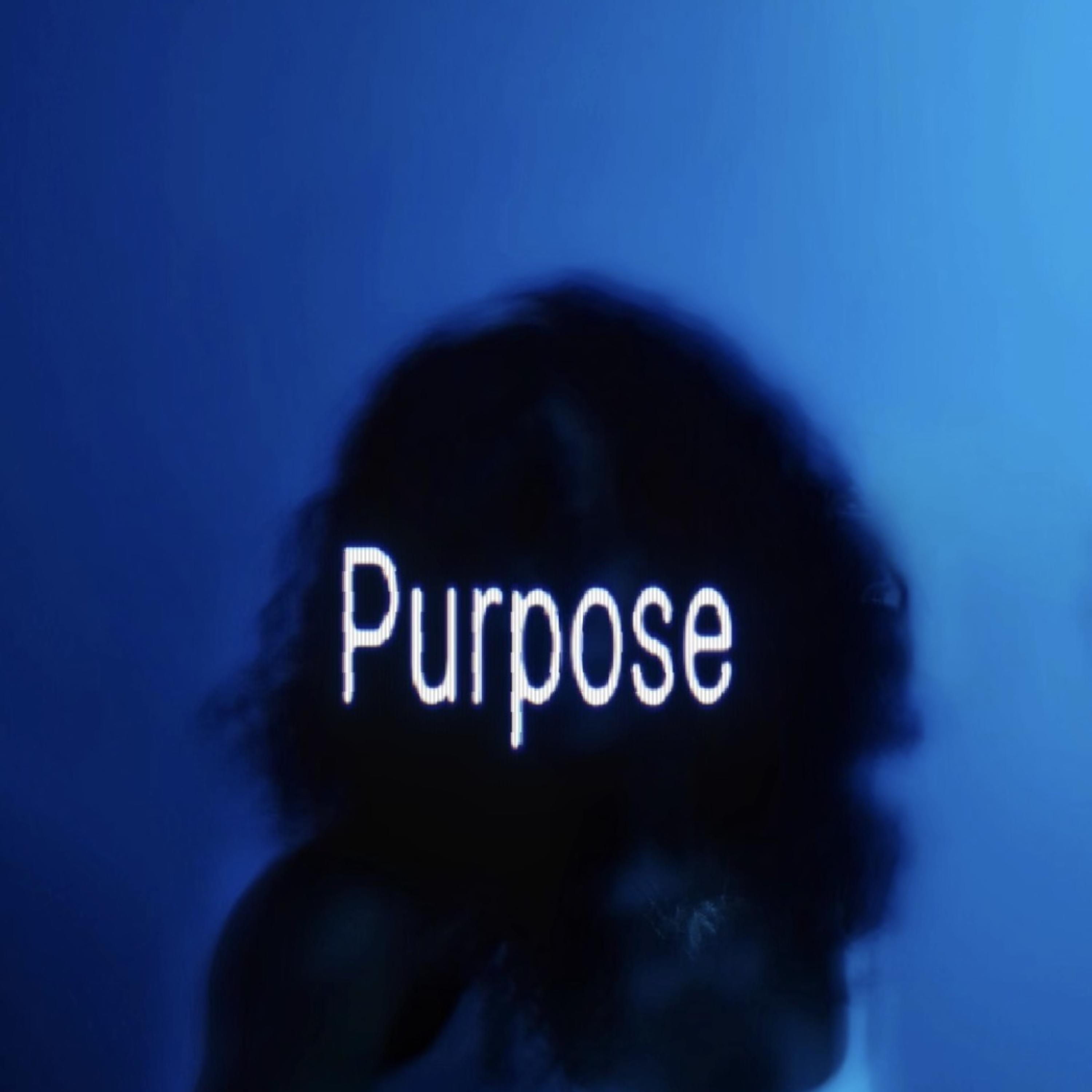 Purpose artwork