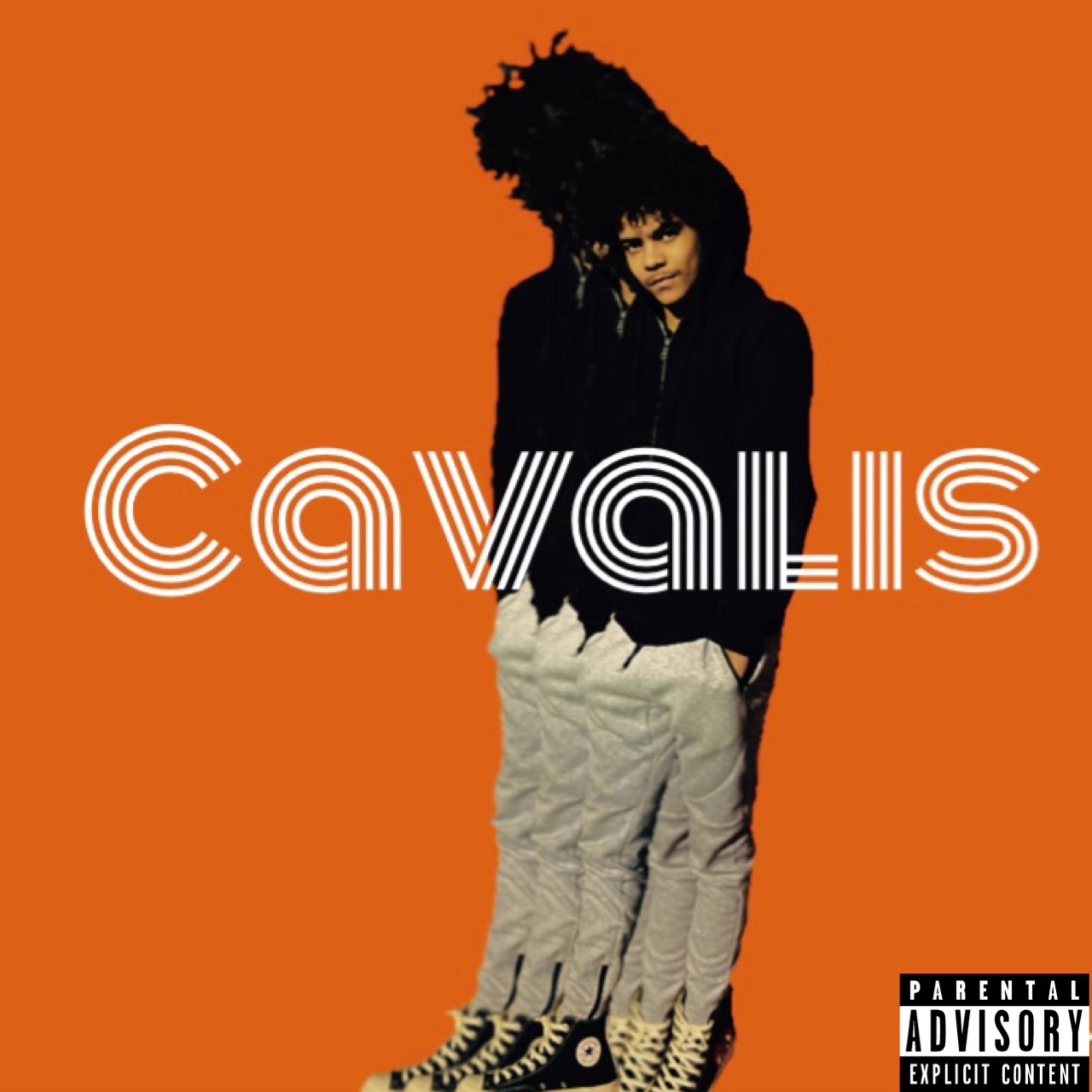 Cavalis artwork