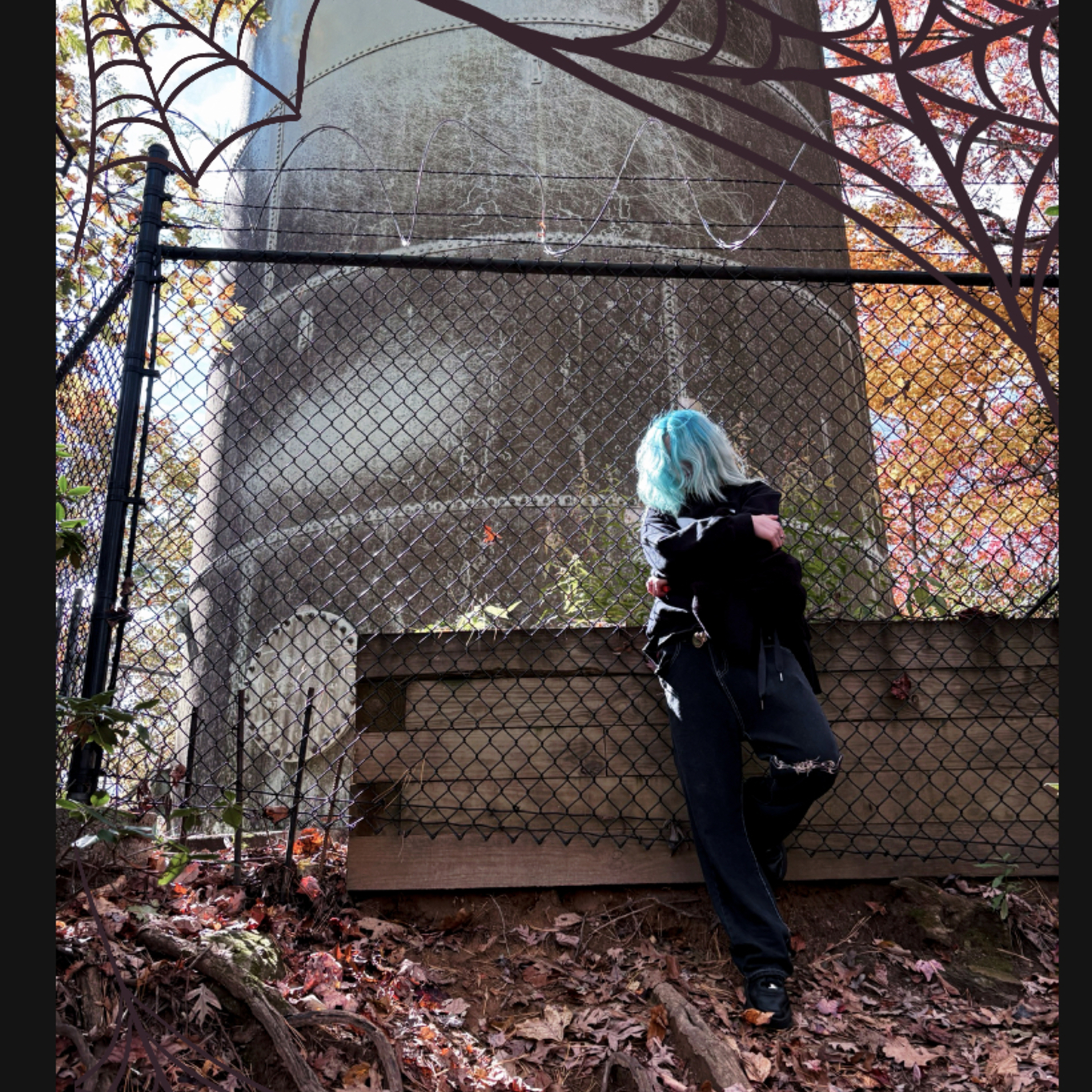 spiderweb artwork