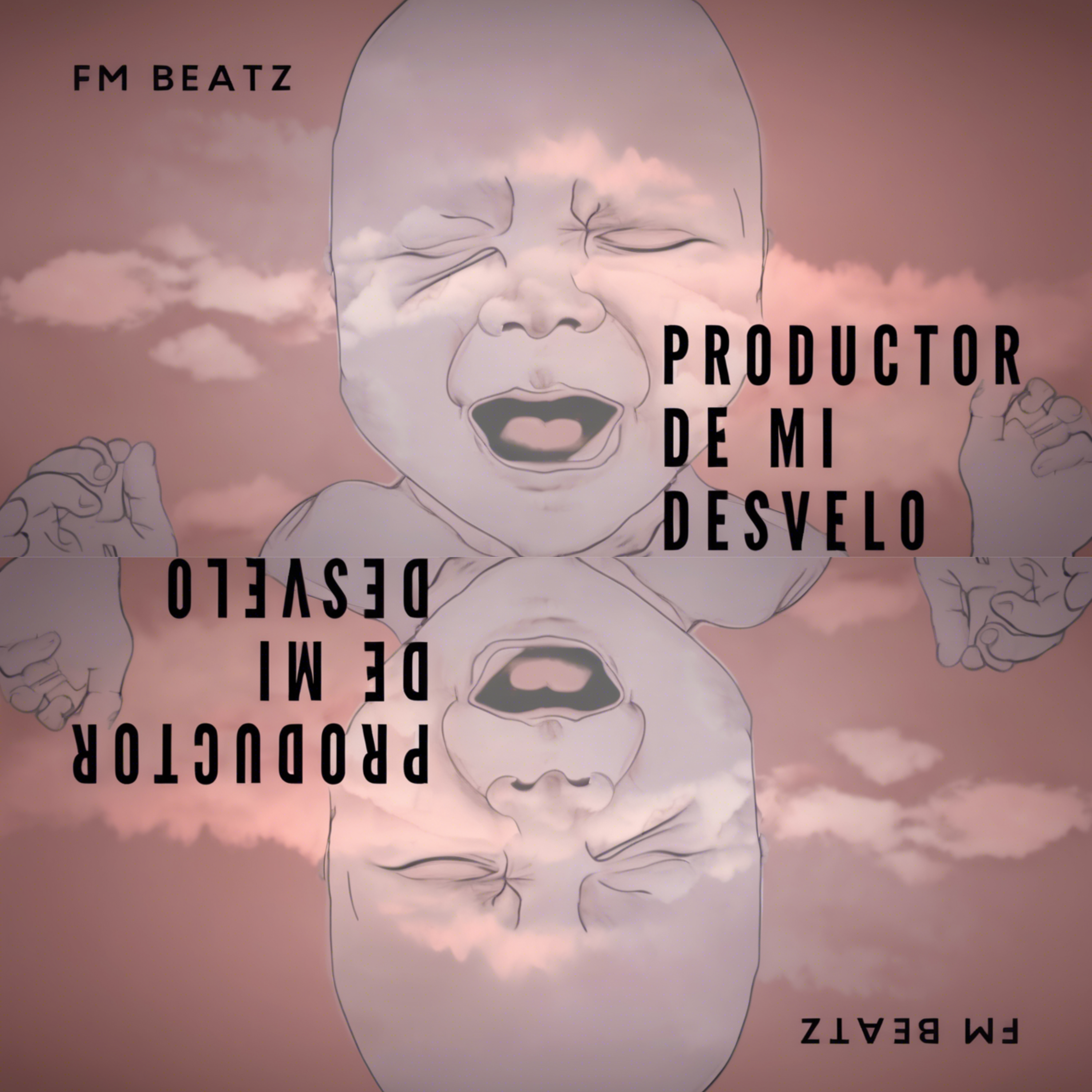 Productor de mi desvelo artwork